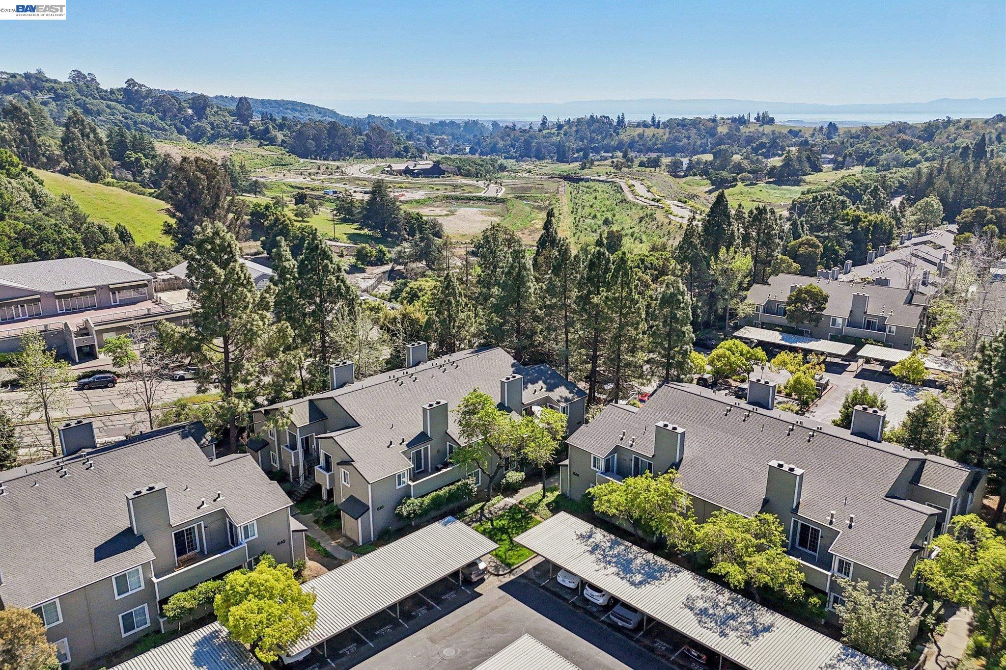 Photo #53: 41128466 Listing: Photo #53