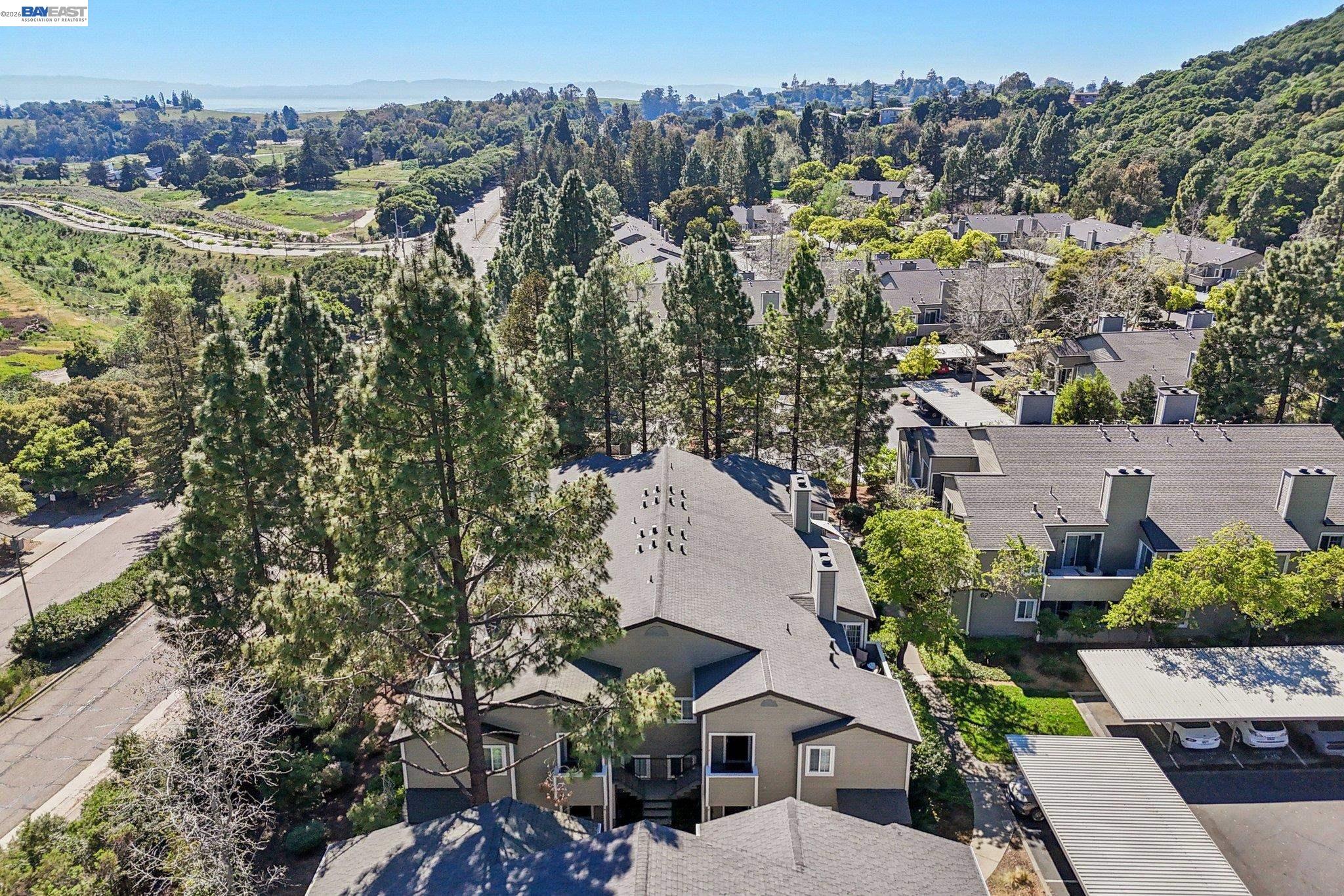 Photo #55: 41128466 Listing: Photo #55