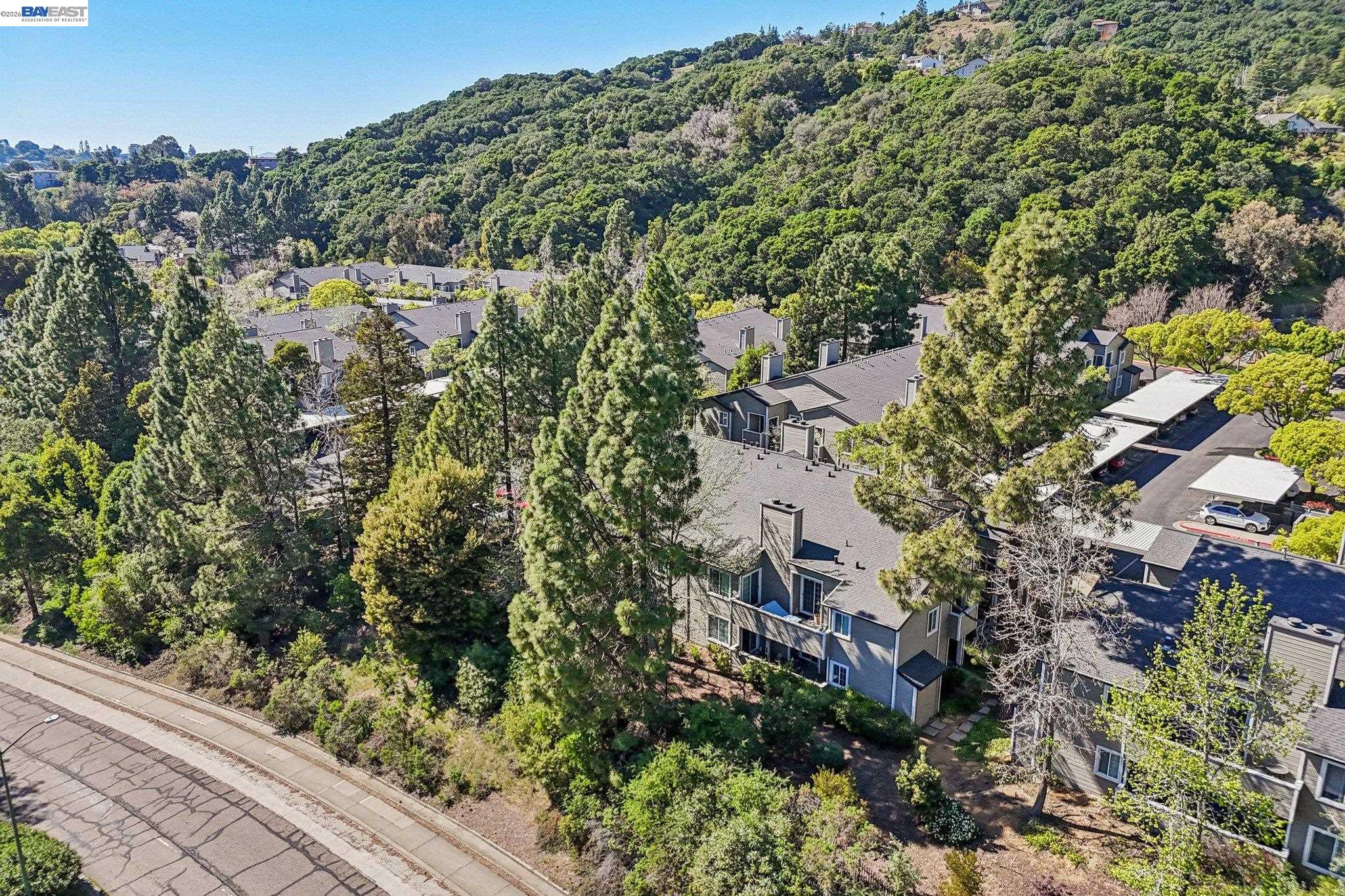 Photo #56: 41128466 Listing: Photo #56