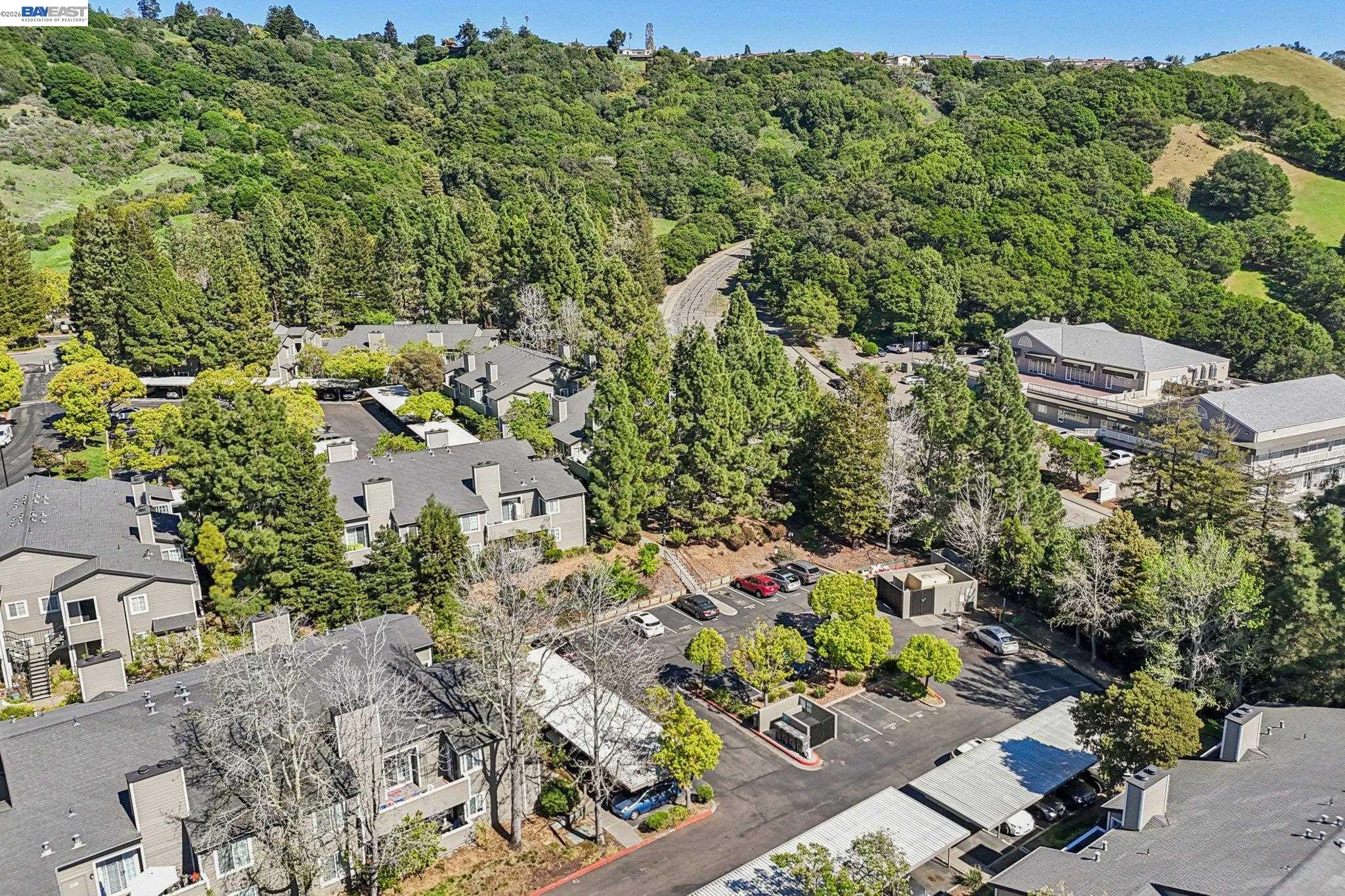 Photo #58: 41128466 Listing: Photo #58