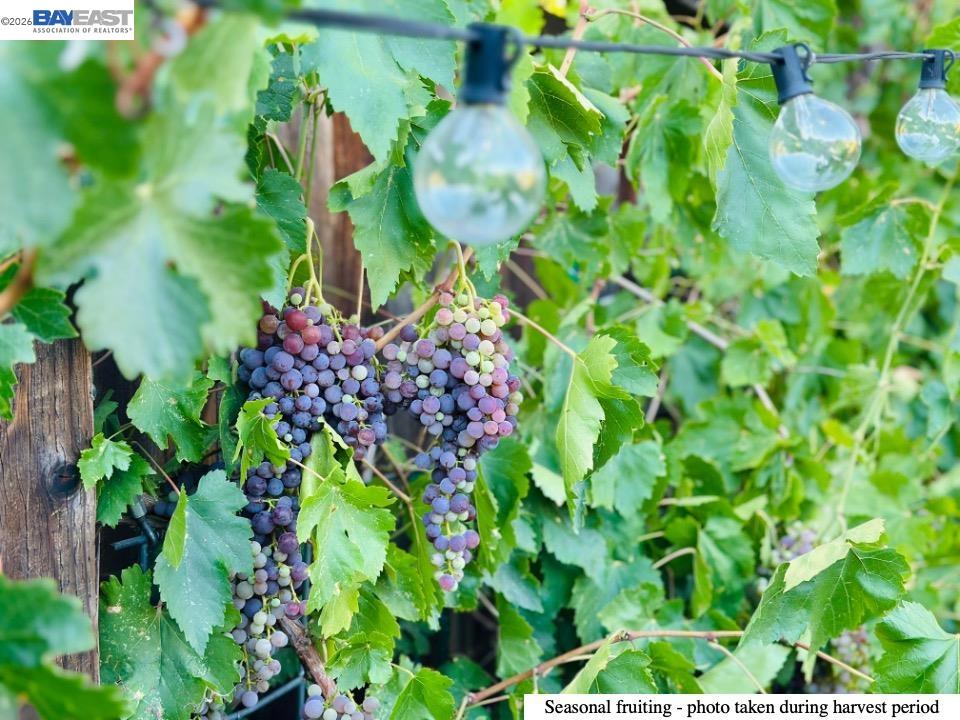 Detail Gallery Image 41 of 50 For 3610 Madeira Way, Livermore,  CA 94550 - 3 Beds | 2 Baths