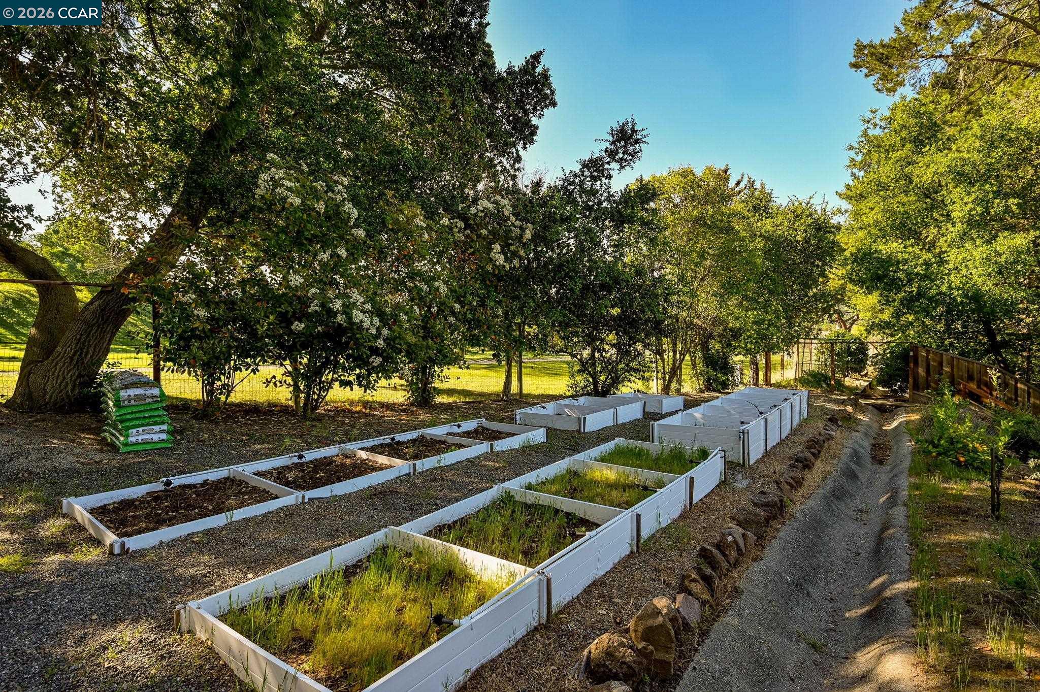 Detail Gallery Image 47 of 55 For 46 Tam O Shanter Rd, Alamo,  CA 94507 - 4 Beds | 3/1 Baths