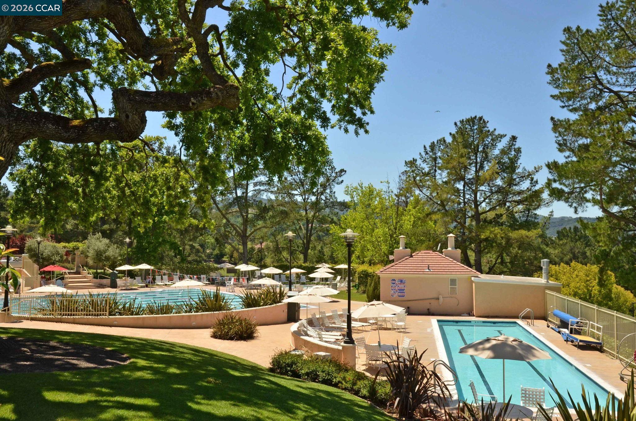 Detail Gallery Image 55 of 55 For 46 Tam O Shanter Rd, Alamo,  CA 94507 - 4 Beds | 3/1 Baths