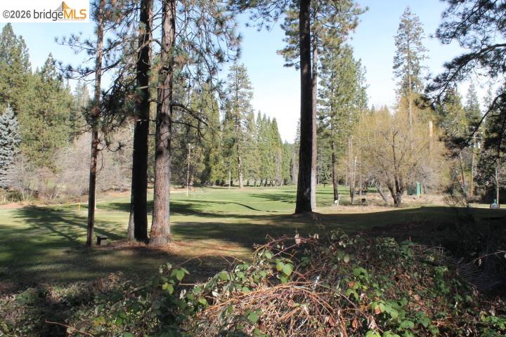 Detail Gallery Image 38 of 44 For 22860 Fuller Rd, Twain Harte,  CA 95383 - 2 Beds | 1/1 Baths