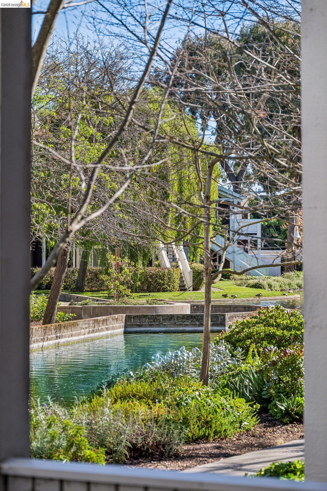 Photo #24: 41128496 Listing: Photo #24