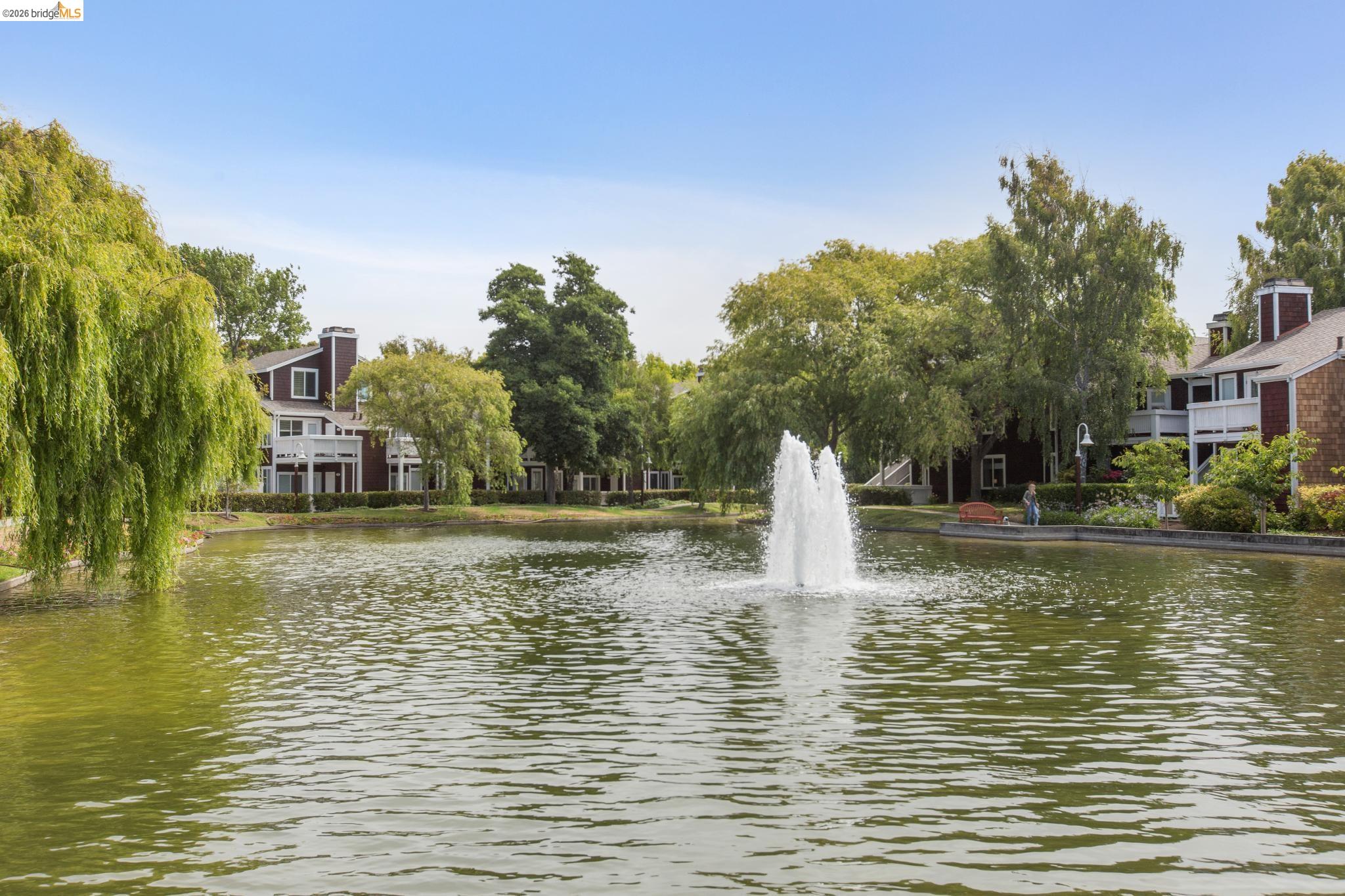 Photo #27: 41128496 Listing: Photo #27