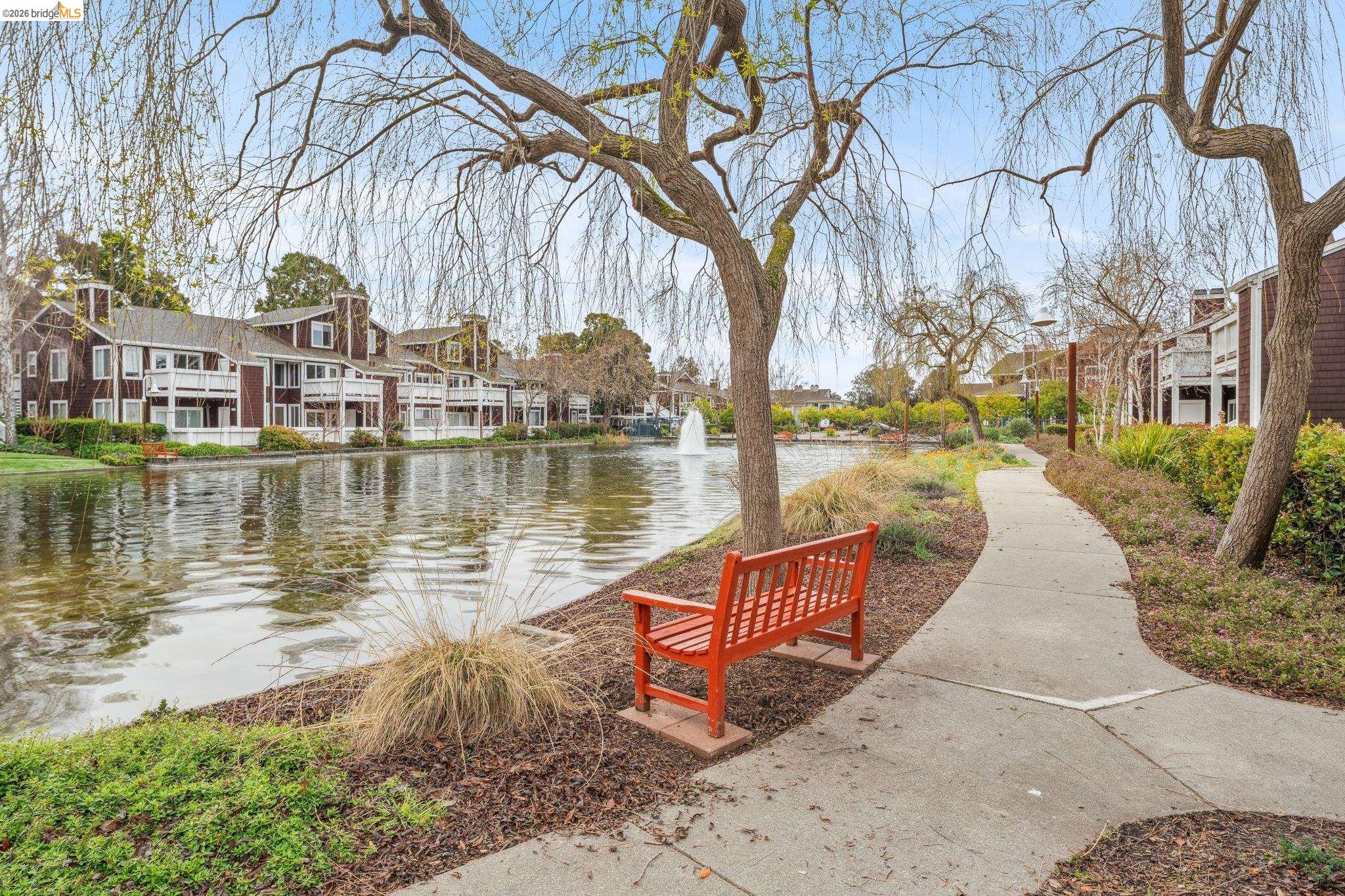 Photo #34: 41128496 Listing: Photo #34