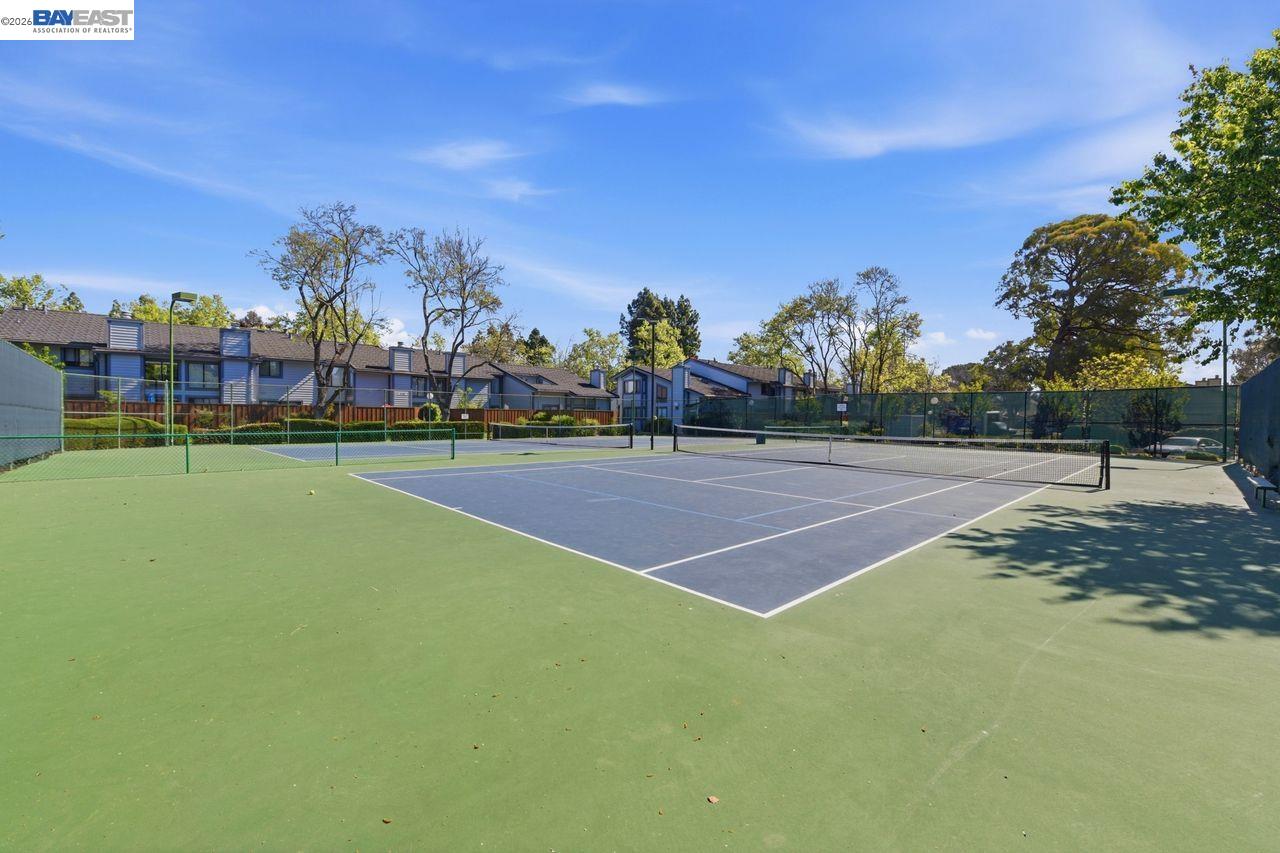 Photo #34: 41128503 Listing: Photo #34