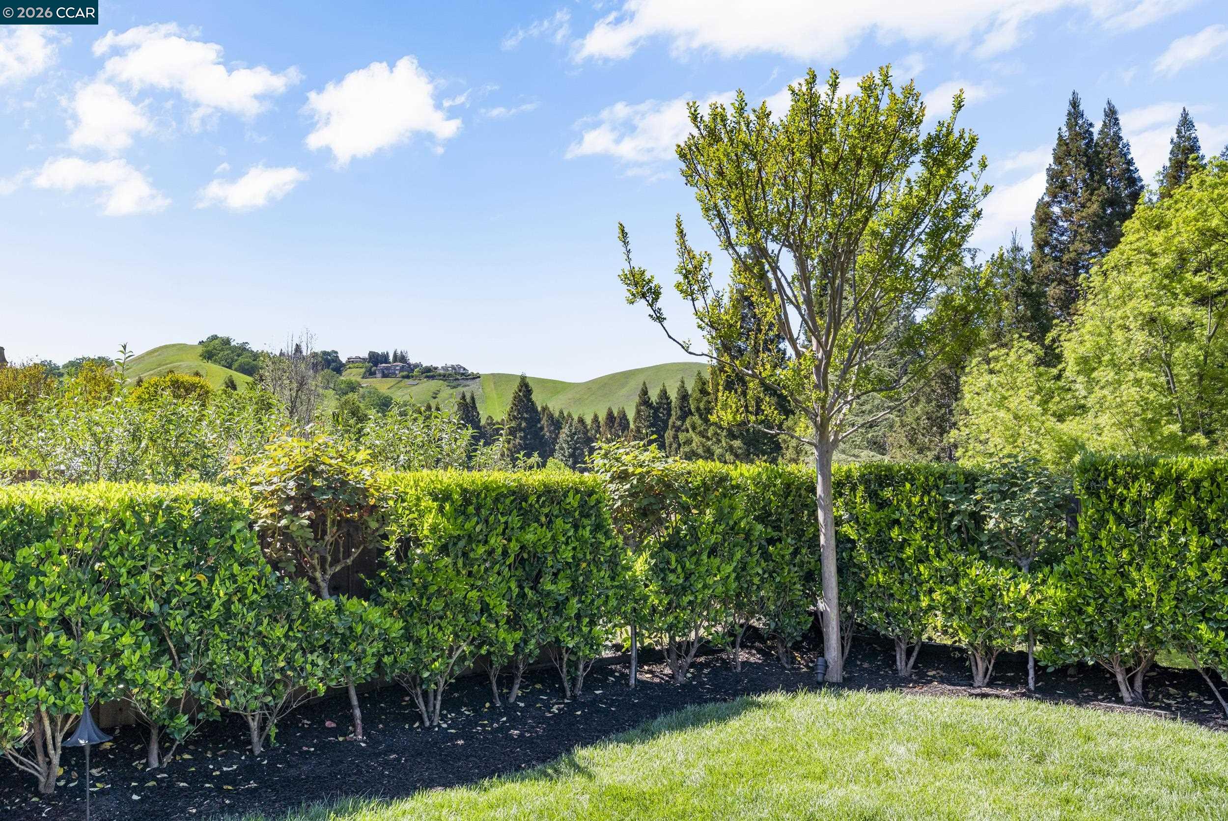 Detail Gallery Image 40 of 60 For 114 Golden Ridge Rd, Alamo,  CA 94507 - 3 Beds | 2/1 Baths