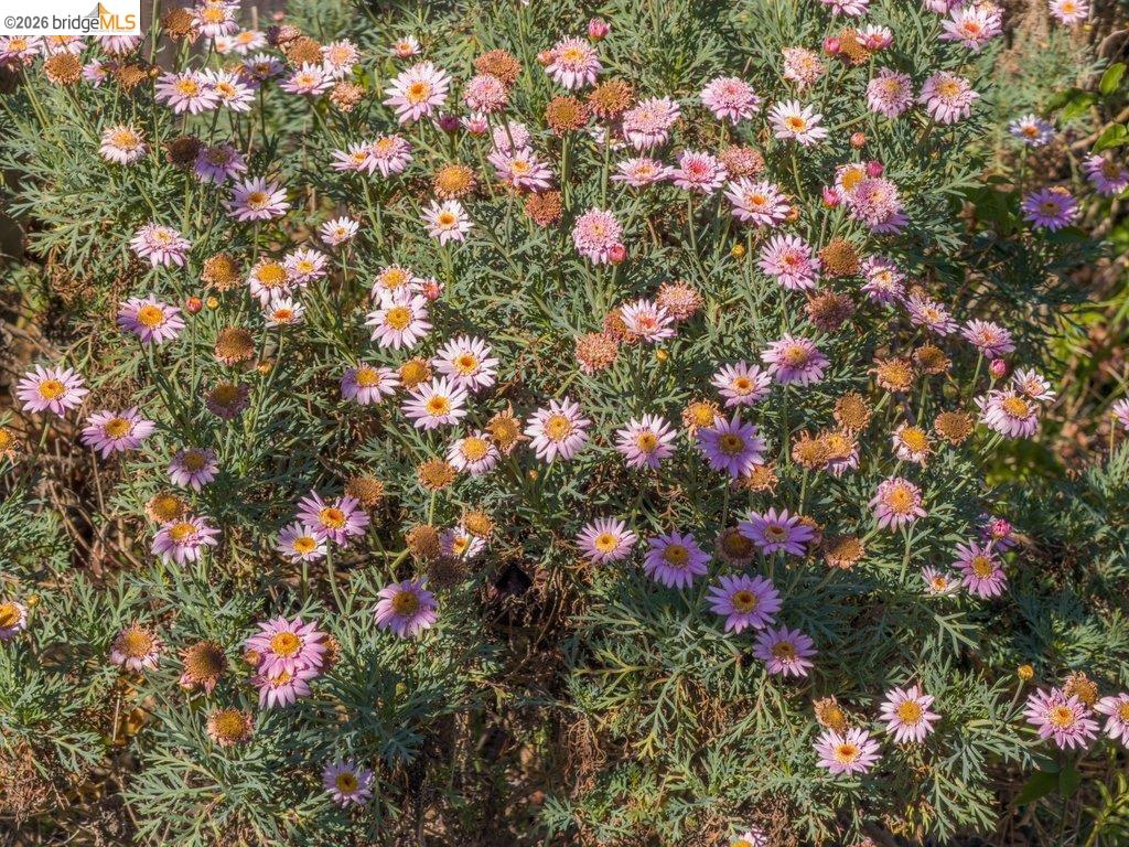 Detail Gallery Image 44 of 60 For 737 Dartshire Way, Sunnyvale,  CA 94087 - 3 Beds | 2 Baths