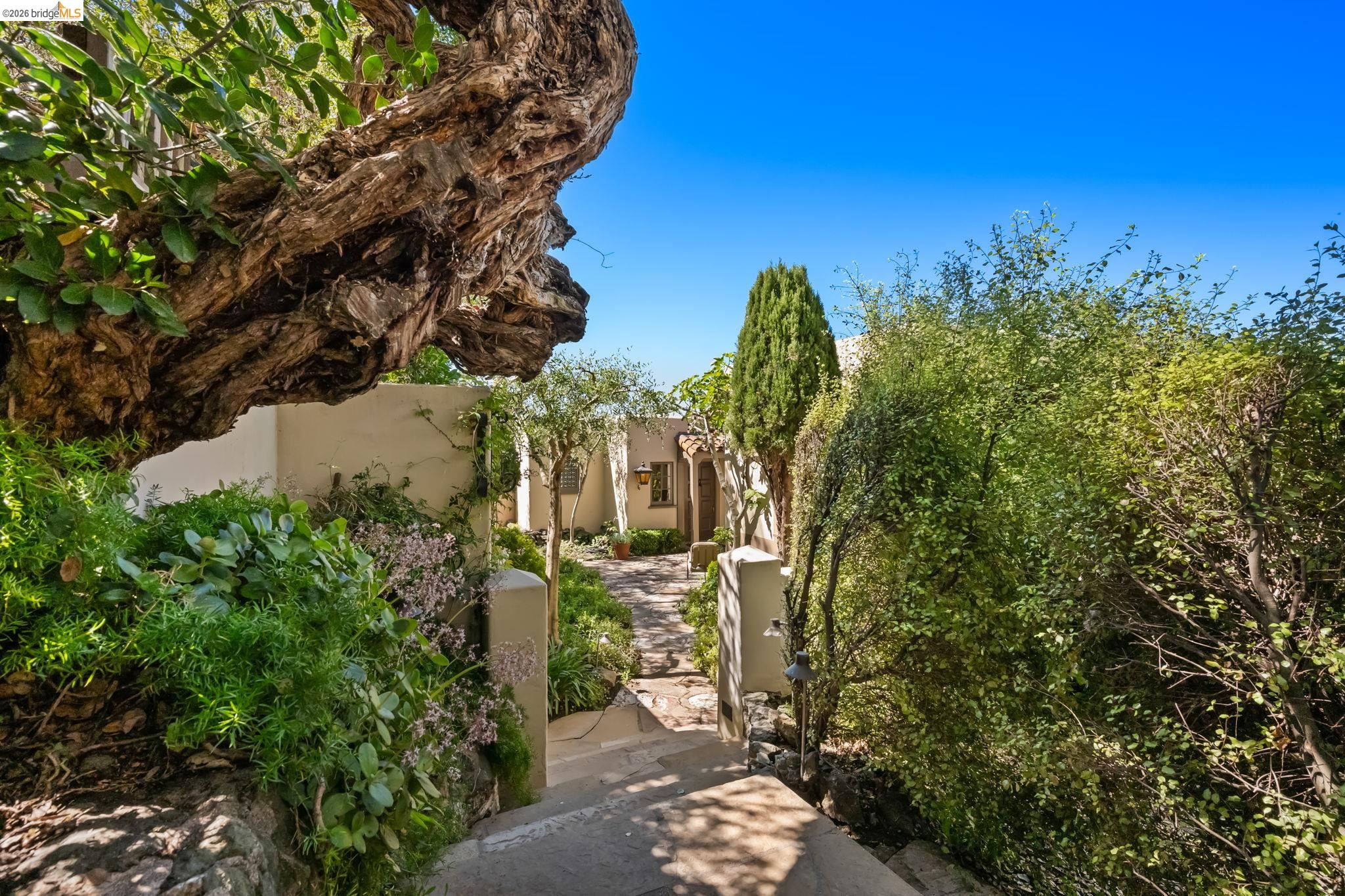 Detail Gallery Image 2 of 57 For 1004 Cragmont Avenue, Berkeley,  CA 94708-1412 - 3 Beds | 2 Baths