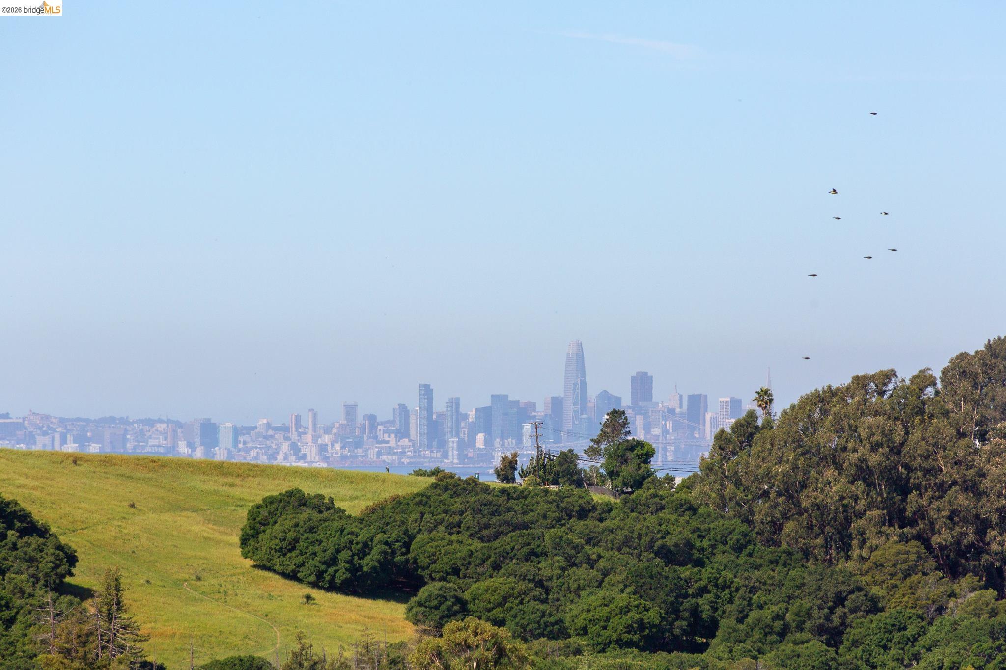 Front Image Thumbnail for EB41128546