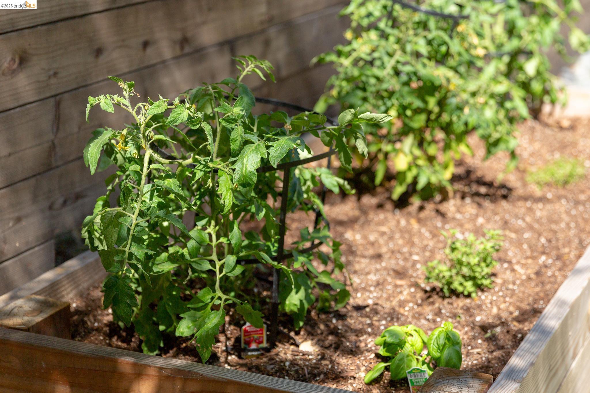 Detail Gallery Image 51 of 60 For 4451 Saint Andrews Rd, Oakland,  CA 94605 - 5 Beds | 3 Baths