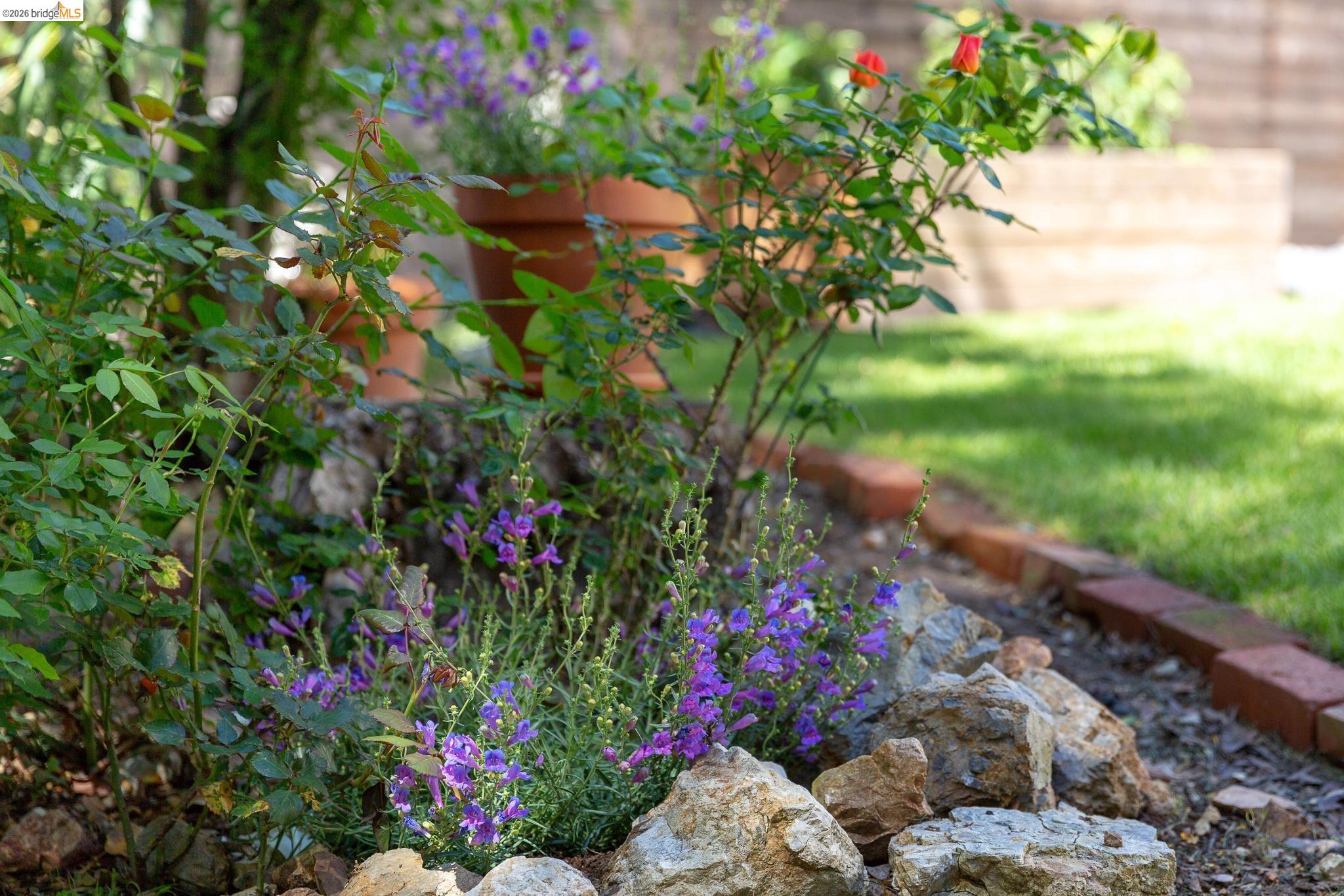 Detail Gallery Image 53 of 60 For 4451 Saint Andrews Rd, Oakland,  CA 94605 - 5 Beds | 3 Baths