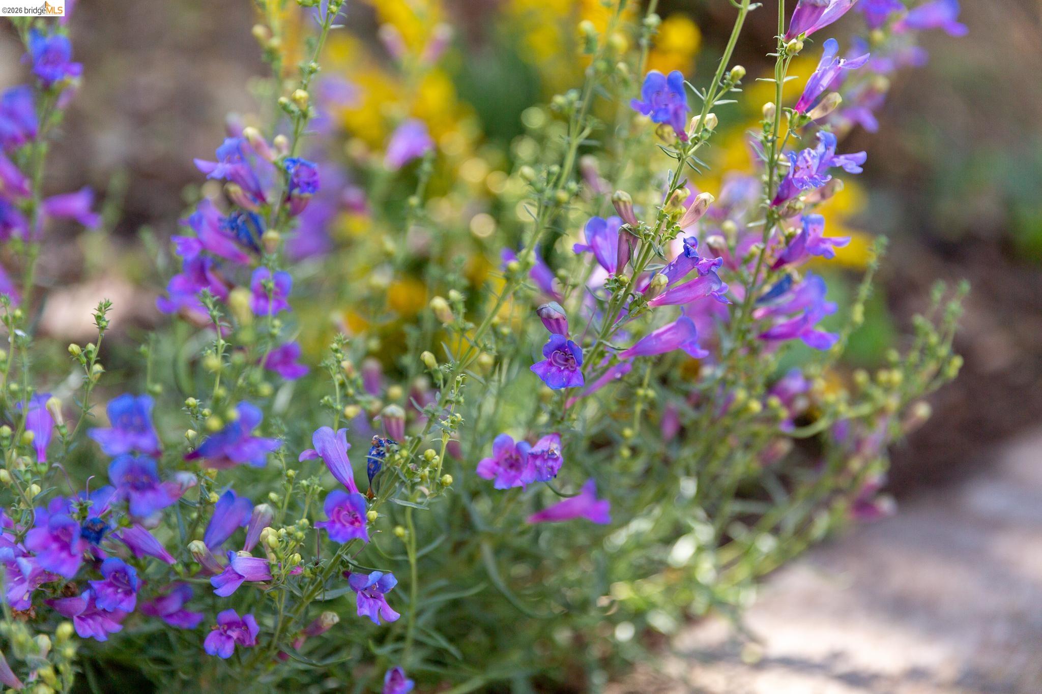 Detail Gallery Image 55 of 60 For 4451 Saint Andrews Rd, Oakland,  CA 94605 - 5 Beds | 3 Baths