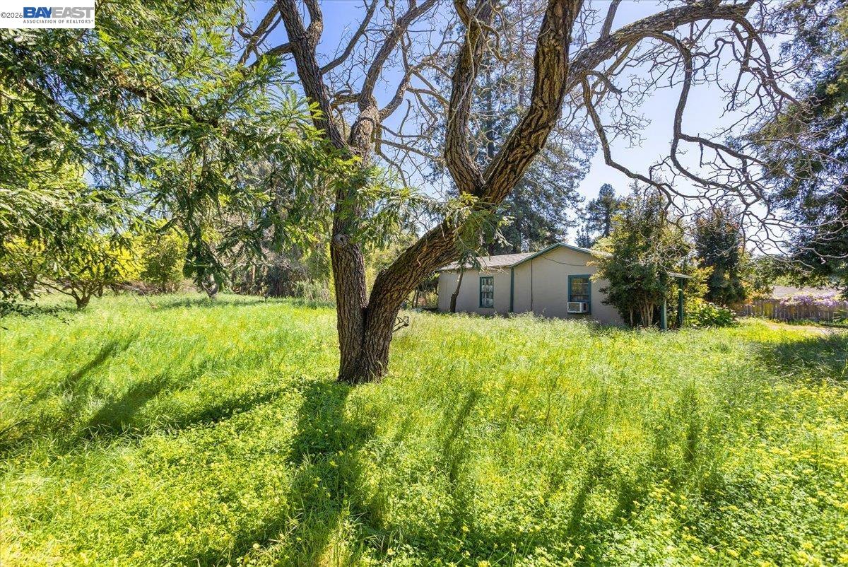 23932 Madeiros Ave, Hayward, CA, 94541