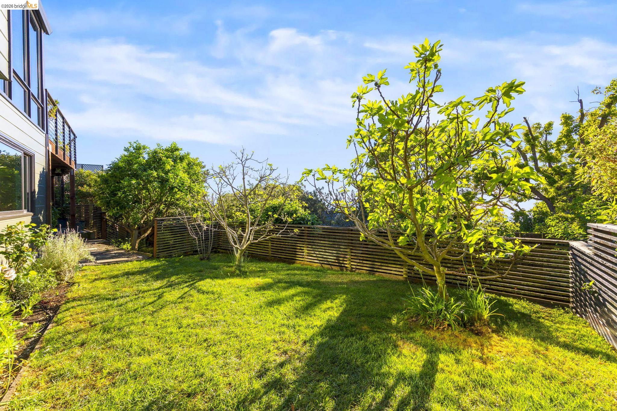 Detail Gallery Image 45 of 59 For 470 Spruce St, Berkeley,  CA 94708 - 5 Beds | 3 Baths