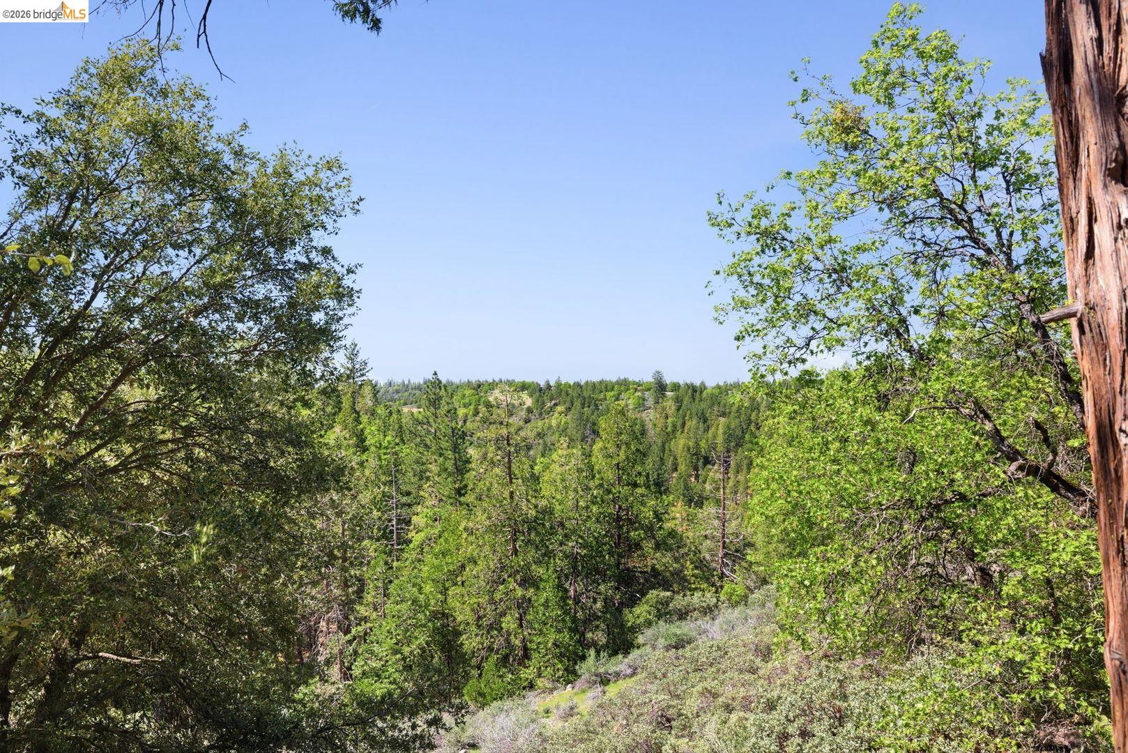 Detail Gallery Image 38 of 60 For 19722 Westview Dr, Twain Harte,  CA 95383 - 4 Beds | 4/1 Baths