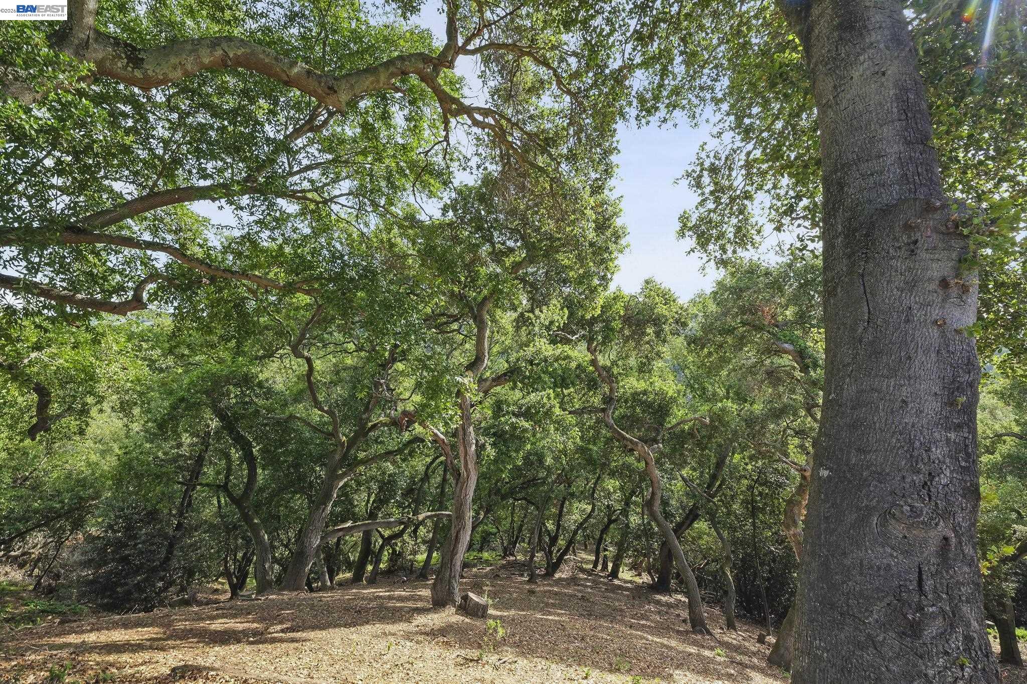 Detail Gallery Image 27 of 27 For 6034 Slopeview Ct, Castro Valley,  CA 94552 - 4 Beds | 2/1 Baths