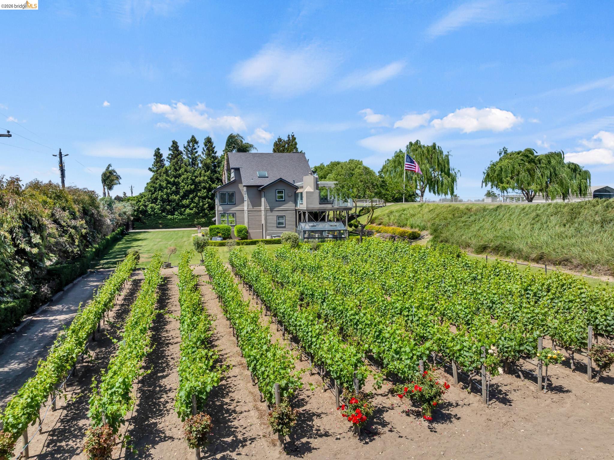 Detail Gallery Image 4 of 48 For 17035 Terminous Rd, Isleton,  CA 95641 - 3 Beds | 3 Baths