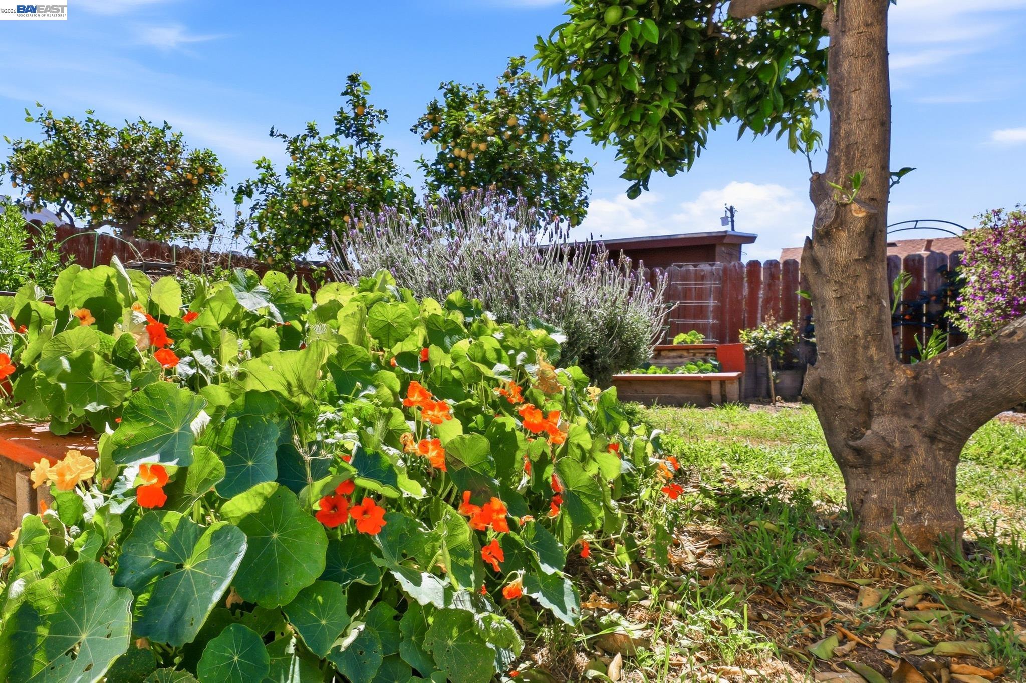 Detail Gallery Image 41 of 44 For 16311 Ria Dr, –,  CA 94578 - 3 Beds | 2 Baths