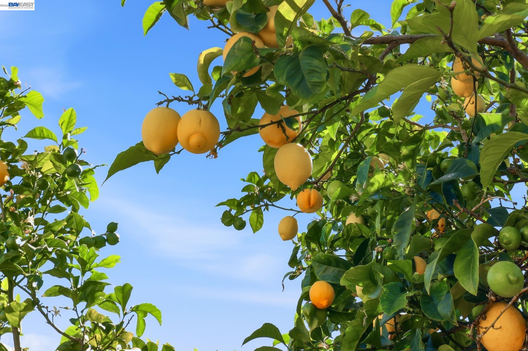 Detail Gallery Image 43 of 44 For 16311 Ria Dr, –,  CA 94578 - 3 Beds | 2 Baths