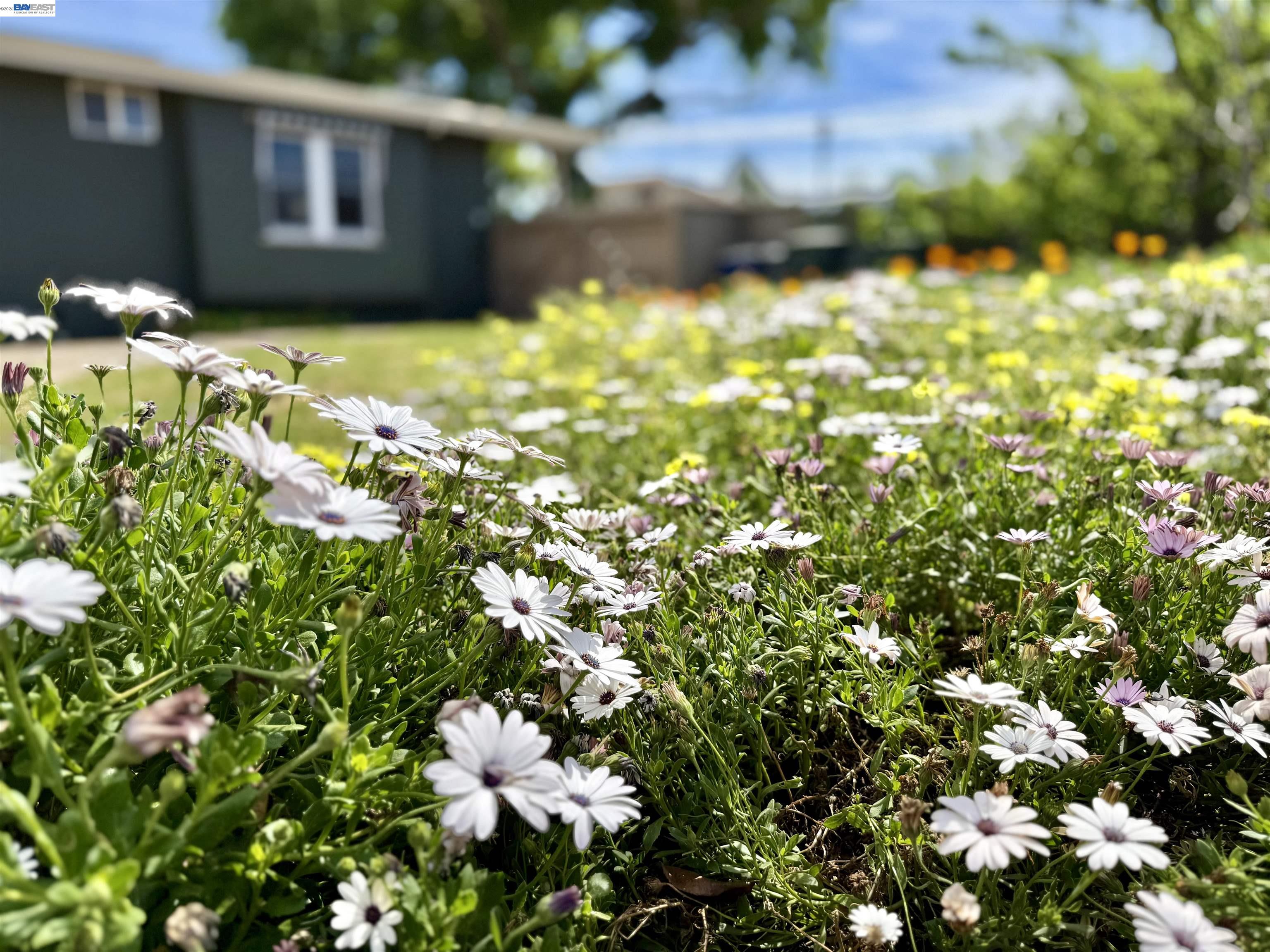 Detail Gallery Image 55 of 60 For 980 Victoria Ave, San Leandro,  CA 94577 - 4 Beds | 3 Baths