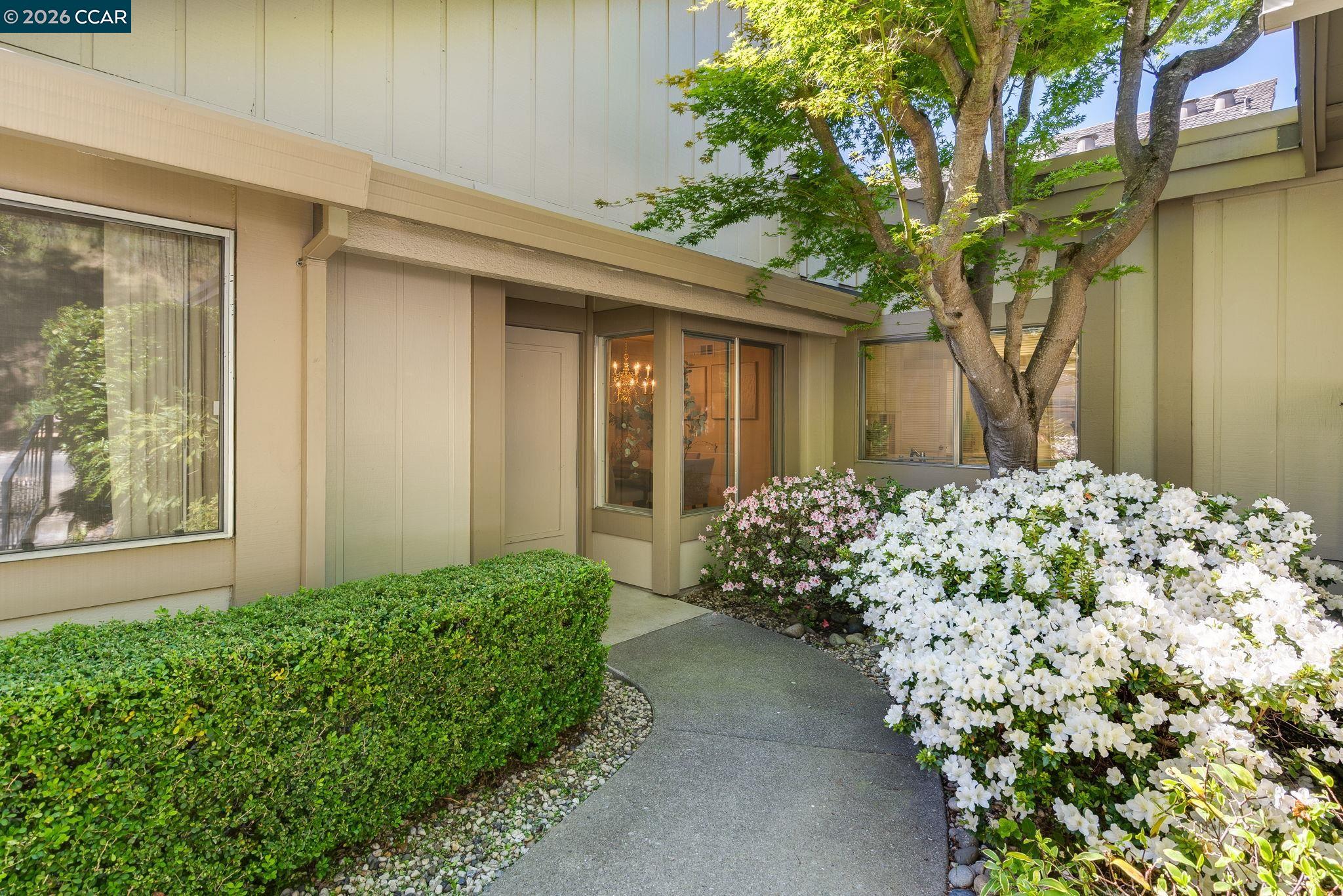 Photo #4: 41128603 Listing: Photo #4