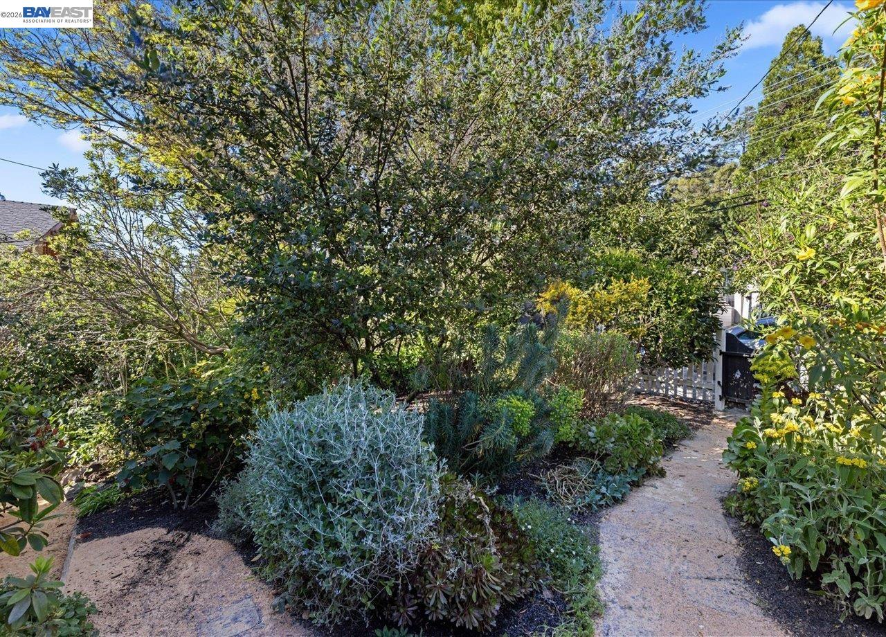 Detail Gallery Image 58 of 58 For 1731 Mountain Blvd, Oakland,  CA 94611 - 3 Beds | 2 Baths