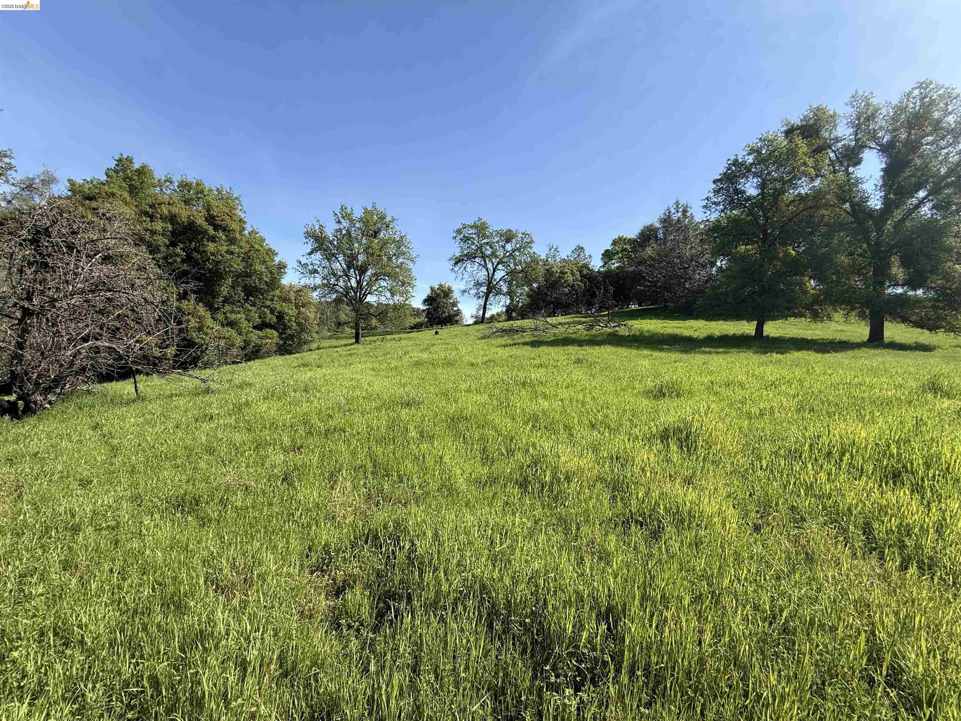 8534 Wilcox Ranch Road, Sonora, CA, 95370