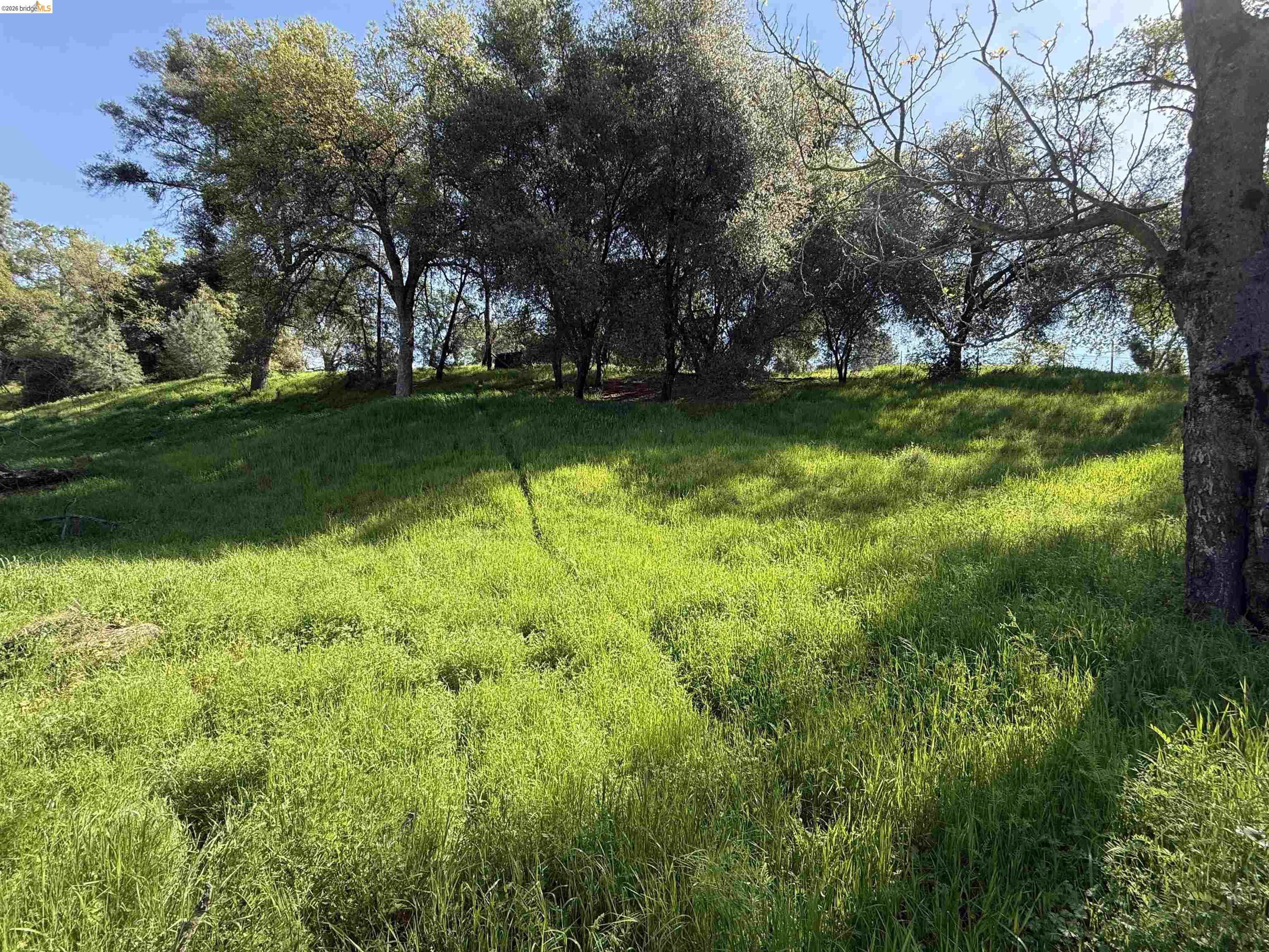 Detail Gallery Image 12 of 21 For 8534 Wilcox Ranch Road, Sonora,  CA 95370 - – Beds | – Baths