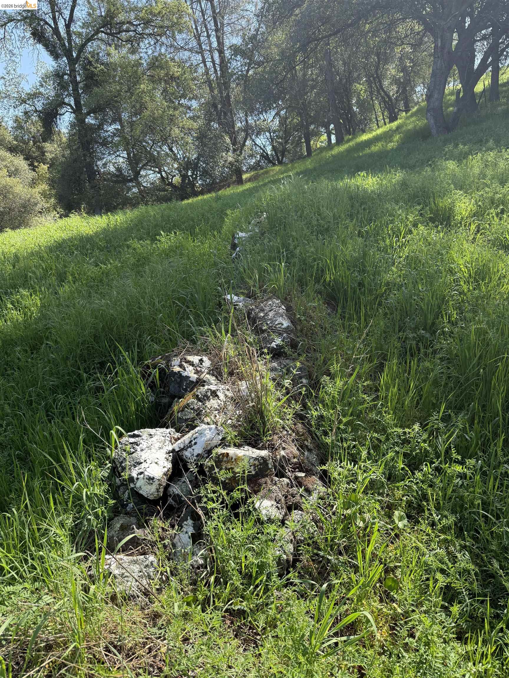 Detail Gallery Image 13 of 21 For 8534 Wilcox Ranch Road, Sonora,  CA 95370 - – Beds | – Baths