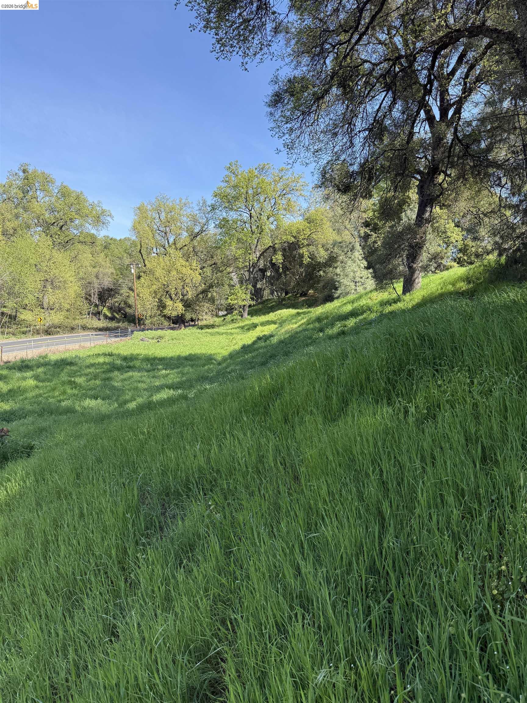 Detail Gallery Image 14 of 21 For 8534 Wilcox Ranch Road, Sonora,  CA 95370 - – Beds | – Baths