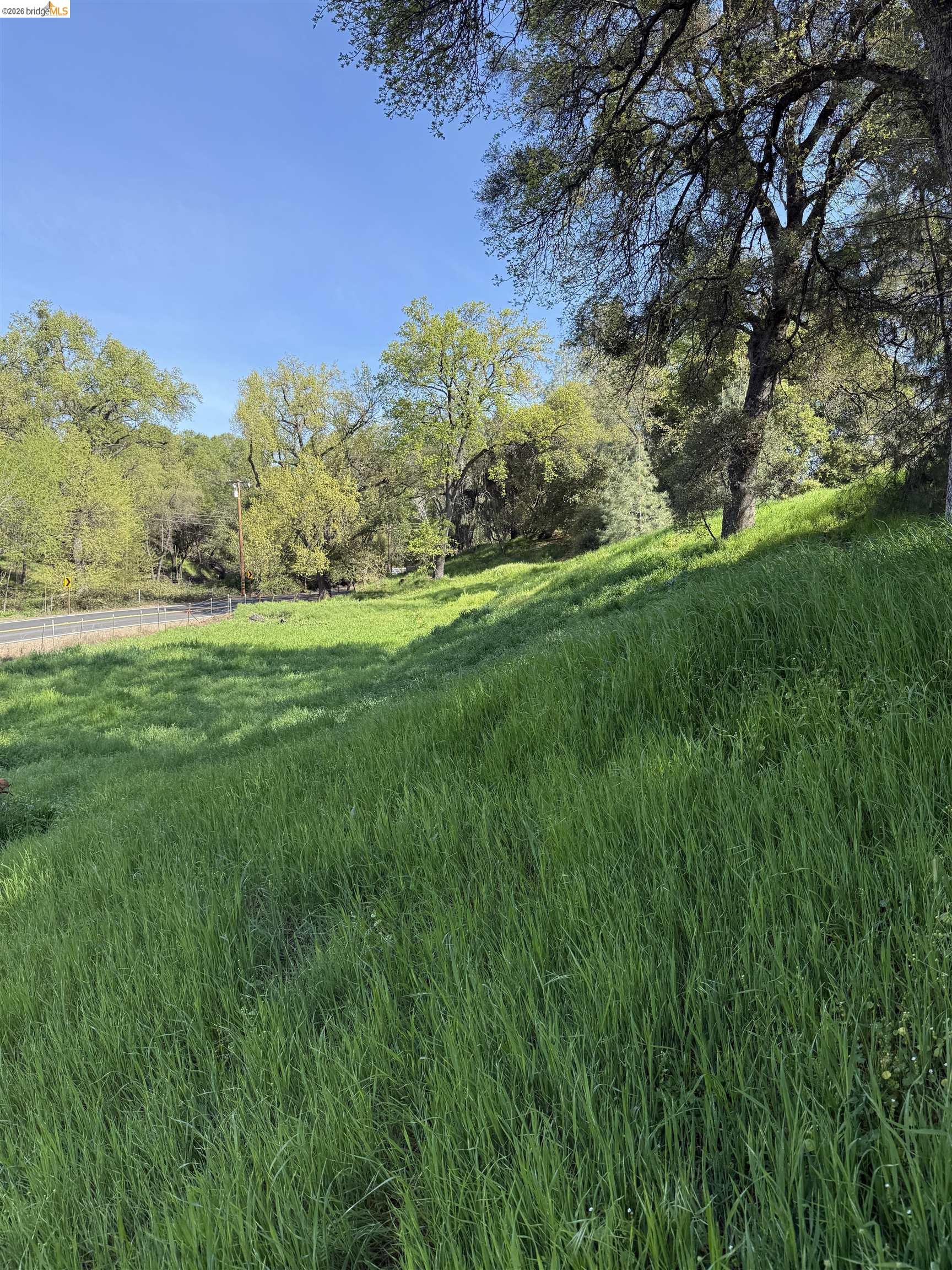 Detail Gallery Image 15 of 21 For 8534 Wilcox Ranch Road, Sonora,  CA 95370 - – Beds | – Baths