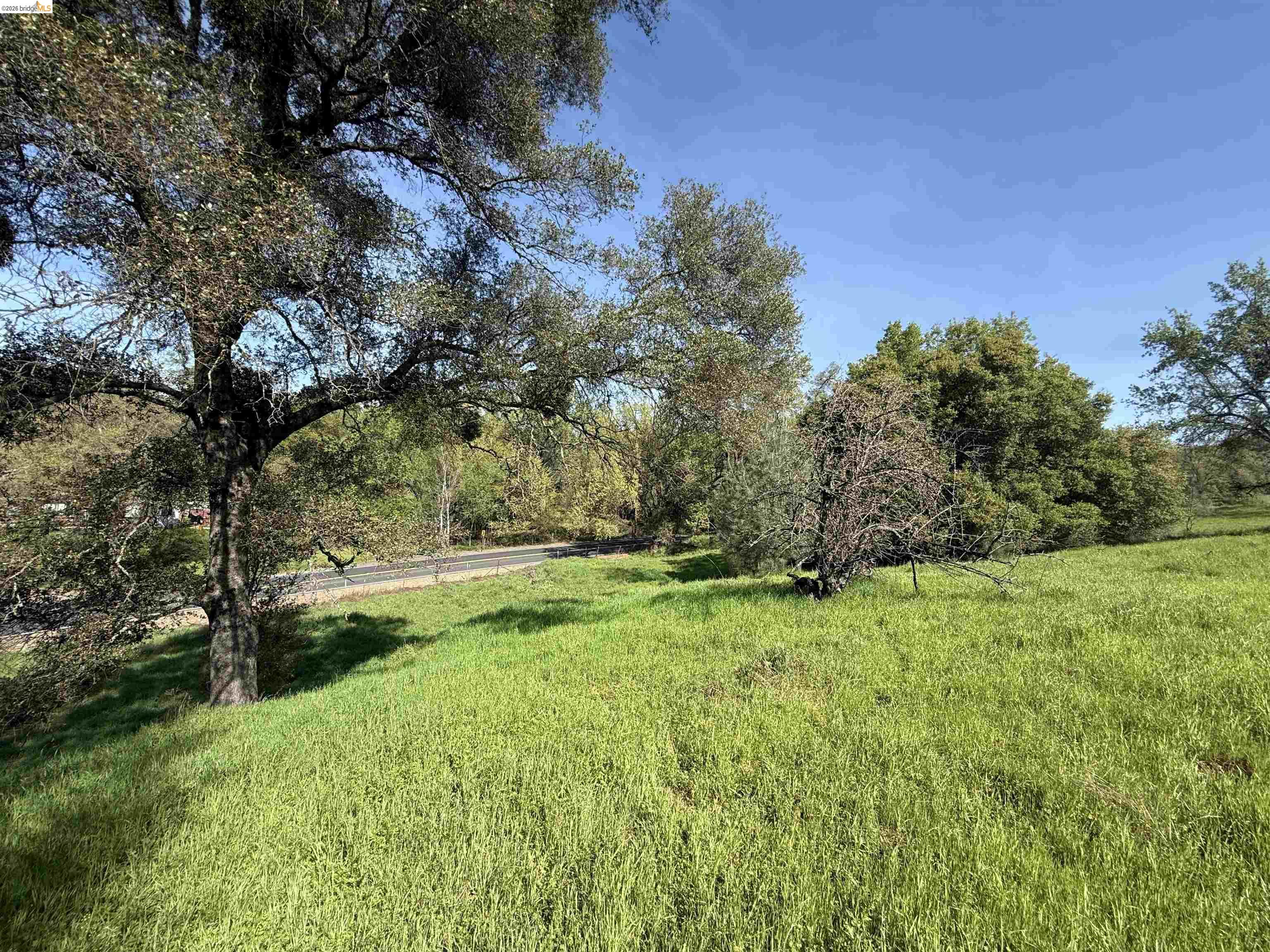 Detail Gallery Image 16 of 21 For 8534 Wilcox Ranch Road, Sonora,  CA 95370 - – Beds | – Baths