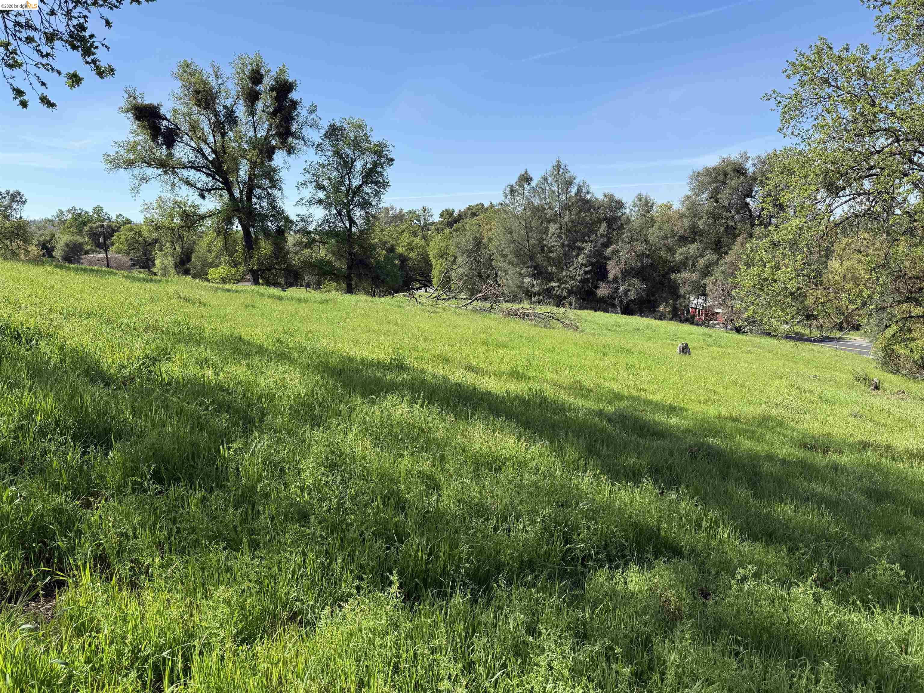 Detail Gallery Image 17 of 21 For 8534 Wilcox Ranch Road, Sonora,  CA 95370 - – Beds | – Baths