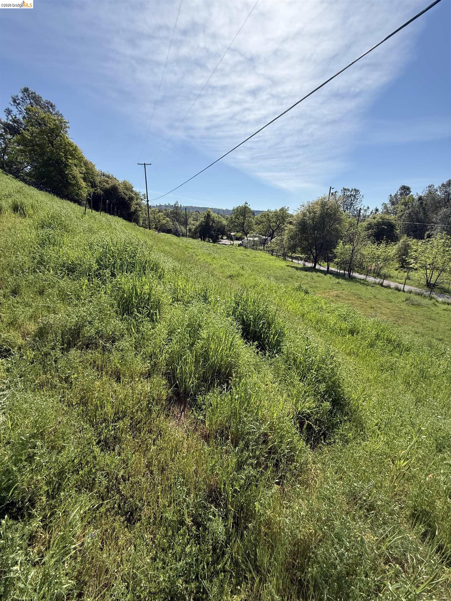 Detail Gallery Image 19 of 21 For 8534 Wilcox Ranch Road, Sonora,  CA 95370 - – Beds | – Baths