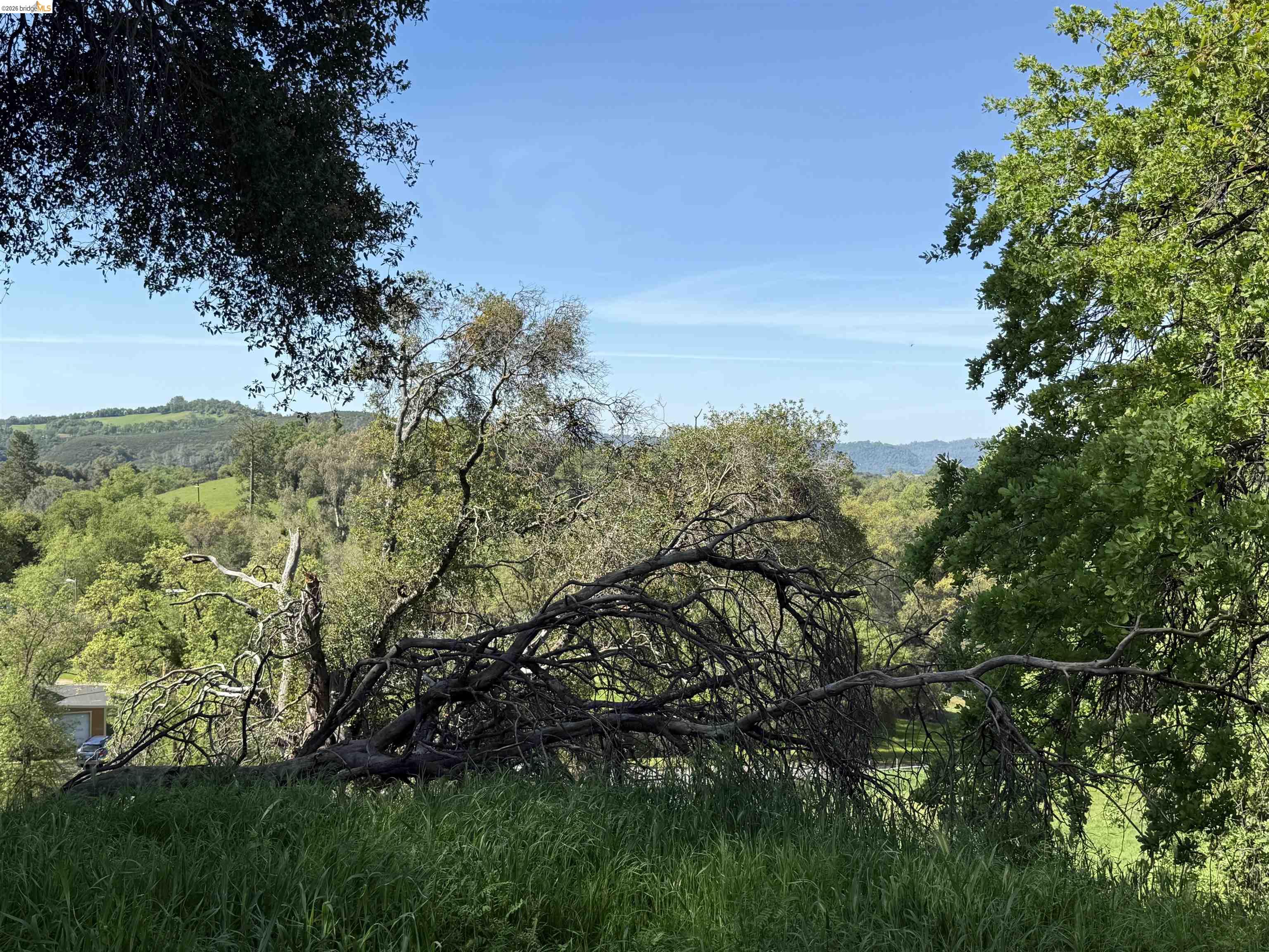 Detail Gallery Image 7 of 21 For 8534 Wilcox Ranch Road, Sonora,  CA 95370 - – Beds | – Baths