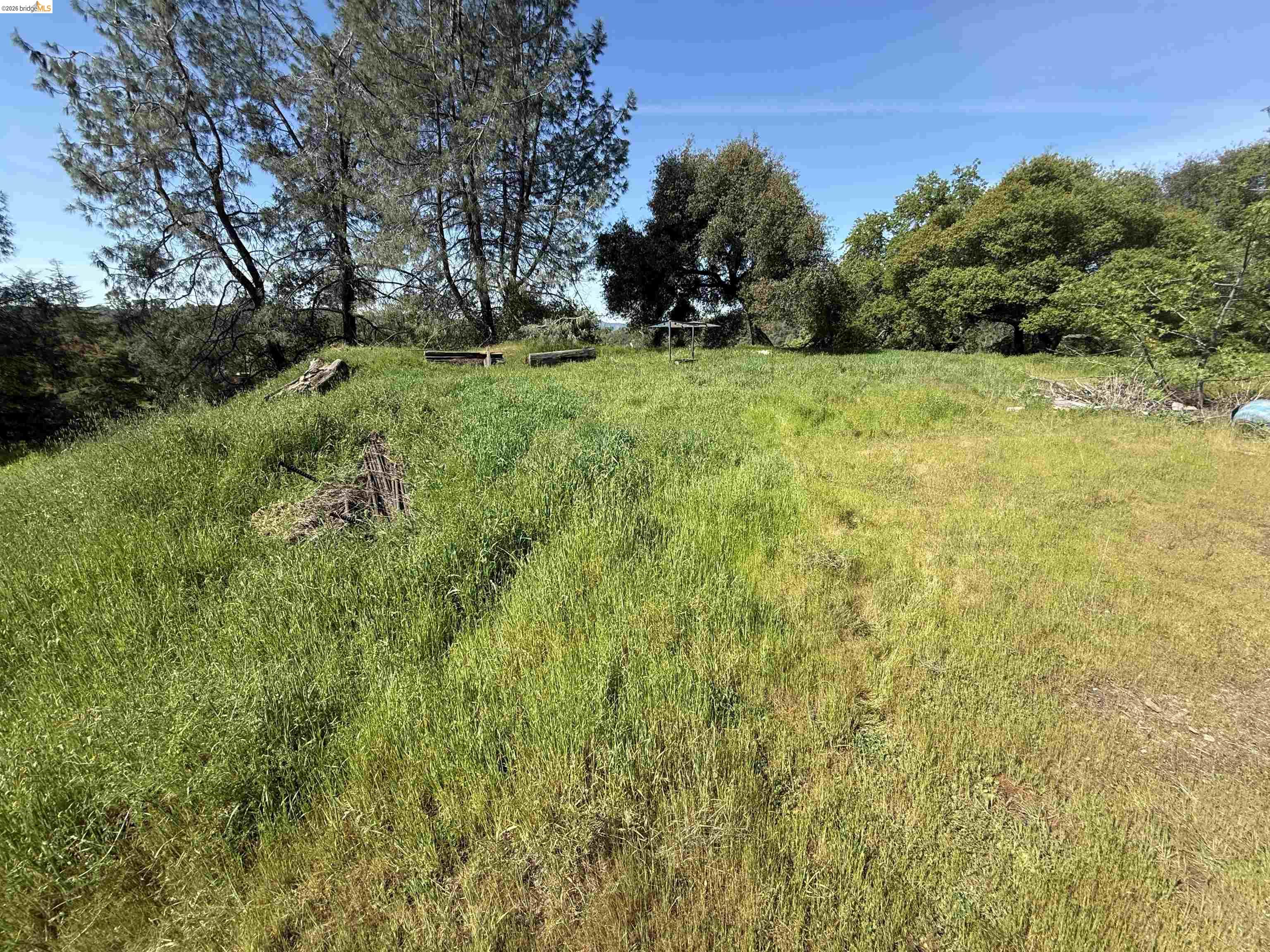 Detail Gallery Image 8 of 21 For 8534 Wilcox Ranch Road, Sonora,  CA 95370 - – Beds | – Baths