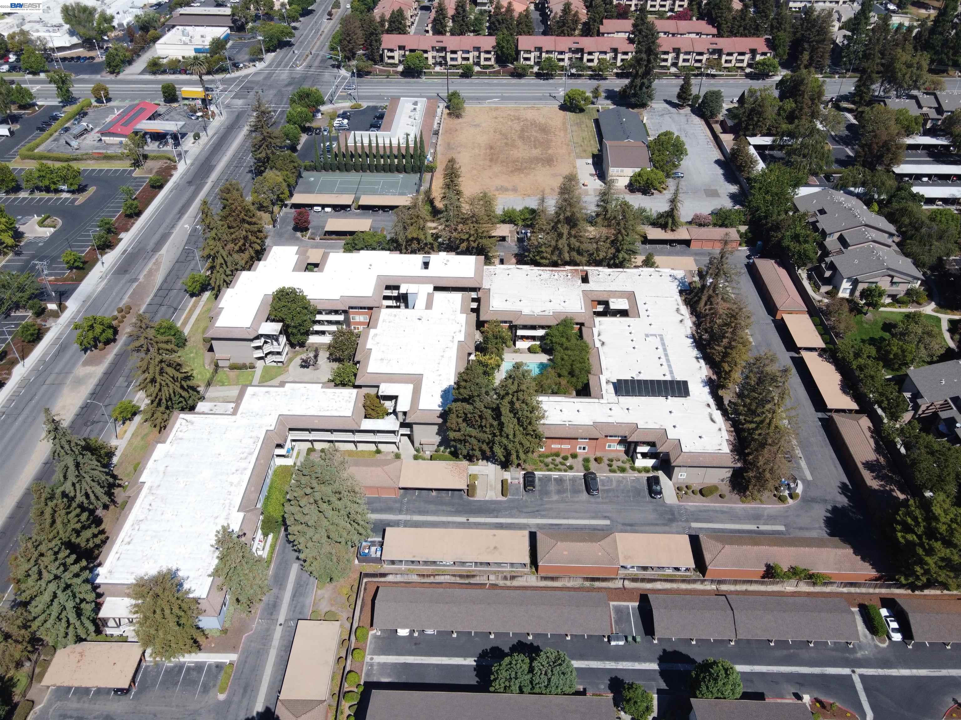 Photo #3: 41128639 Listing: Photo #3