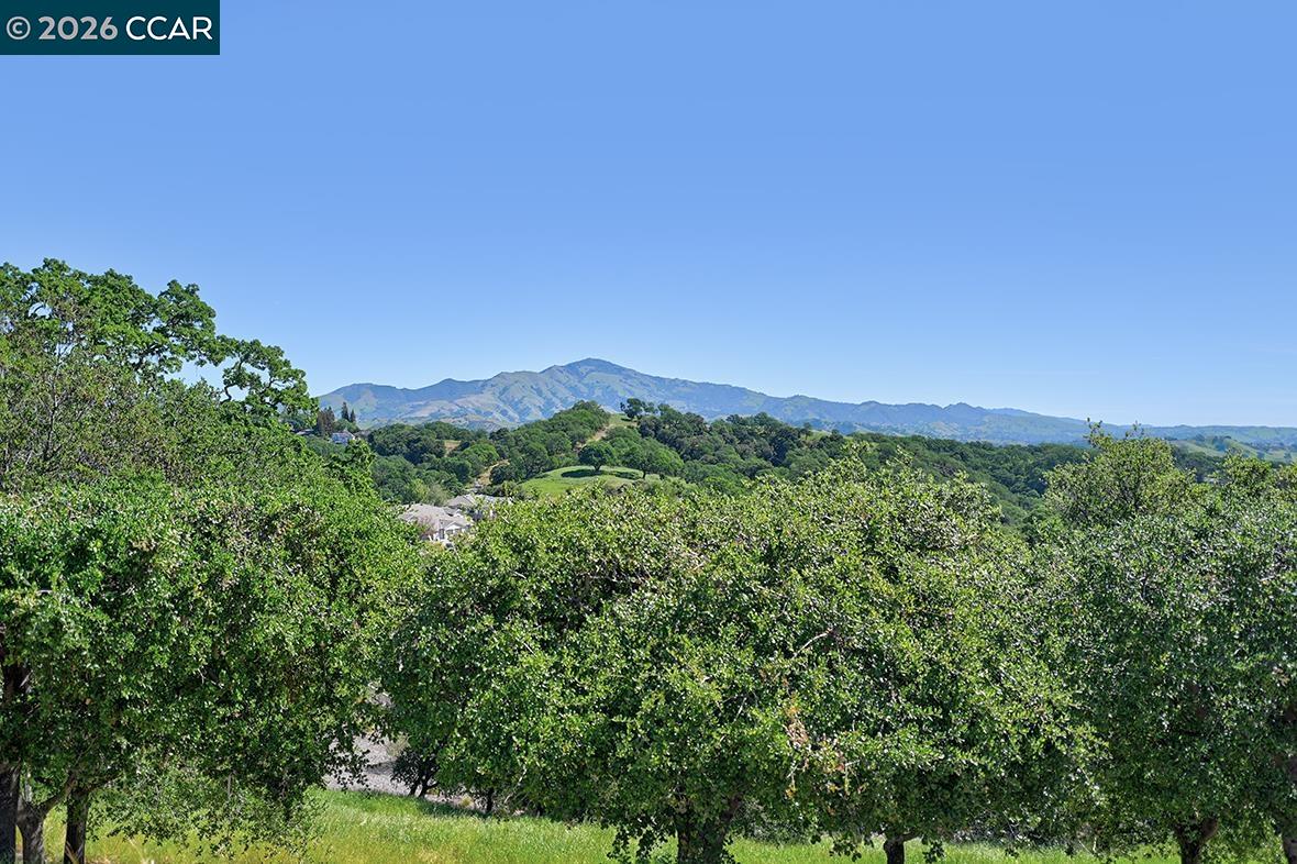 Photo #1: 41128683 Listing: Photo #1