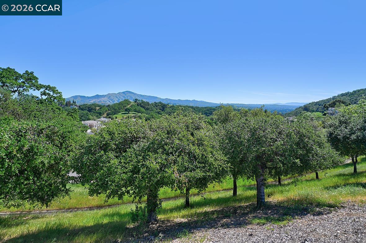 Photo #16: 41128683 Listing: Photo #16