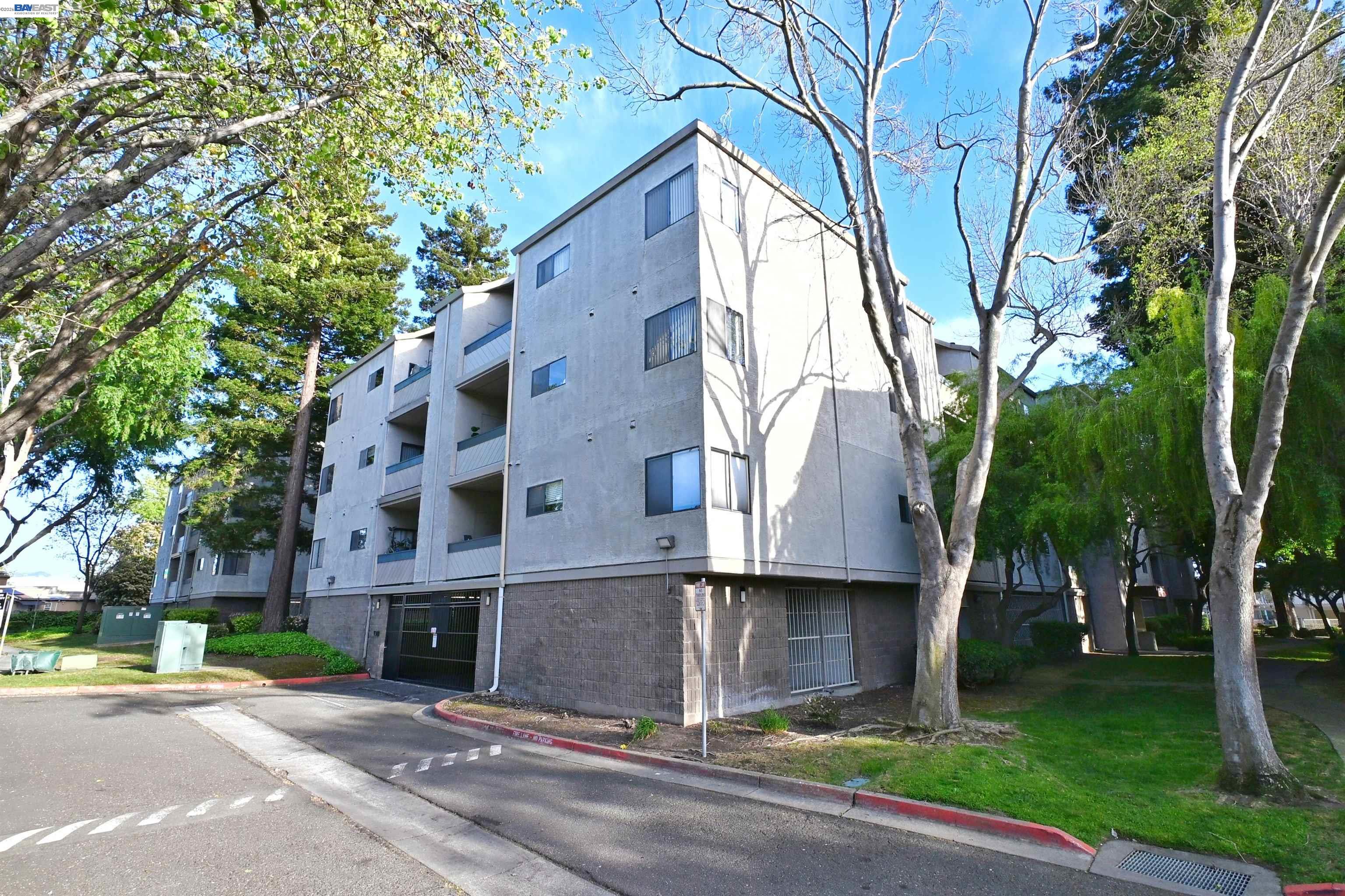 Photo #19: 41128714 Listing: Photo #19