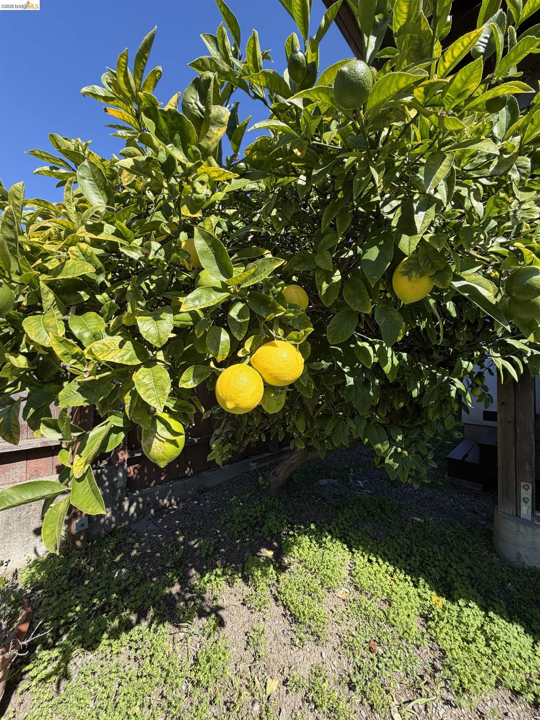Detail Gallery Image 20 of 20 For 525 Clayton Ave, El Cerrito,  CA 94530 - 2 Beds | 1 Baths