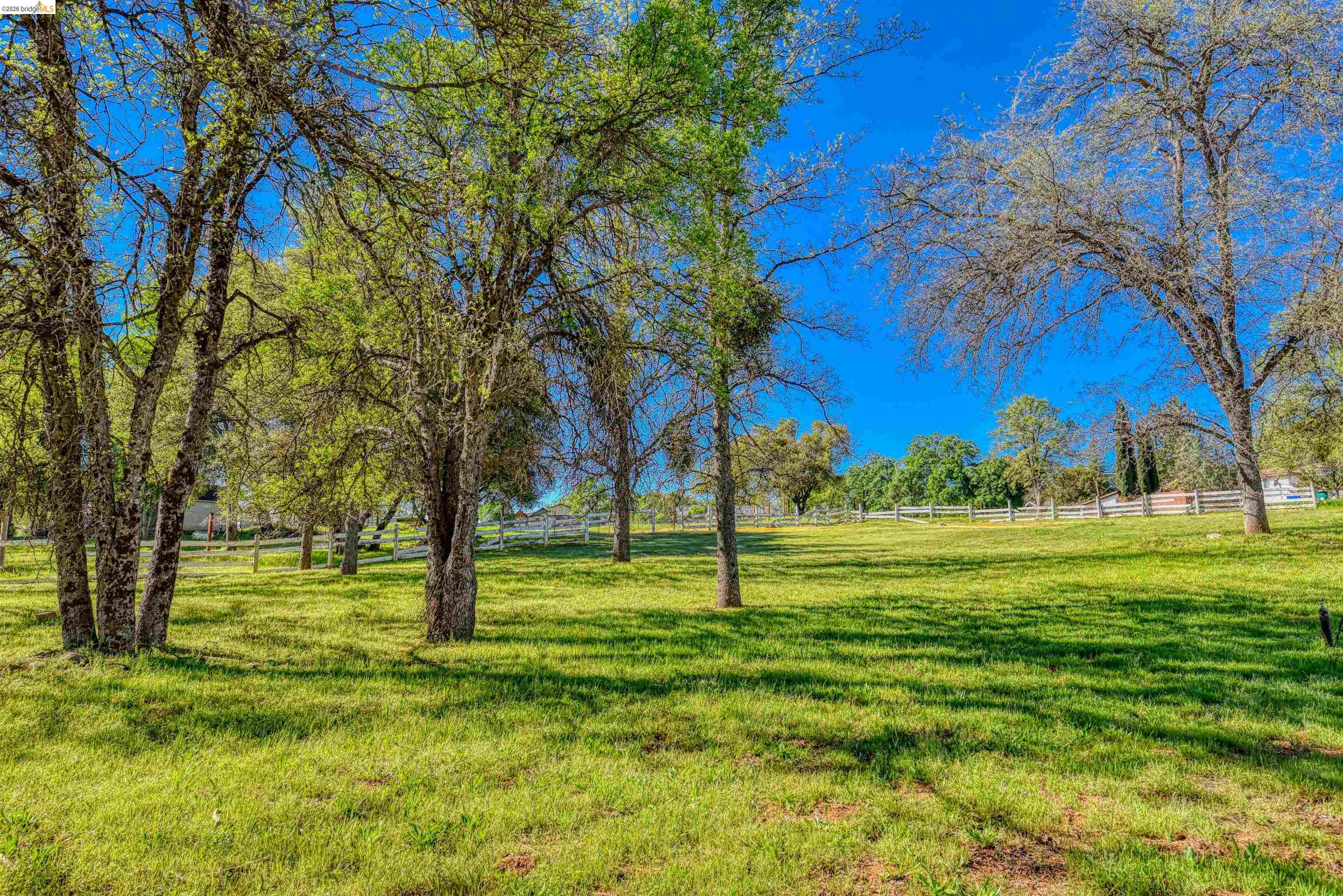 Detail Gallery Image 11 of 45 For 13301 Clements, Groveland,  CA 95321 - 4 Beds | 2/1 Baths