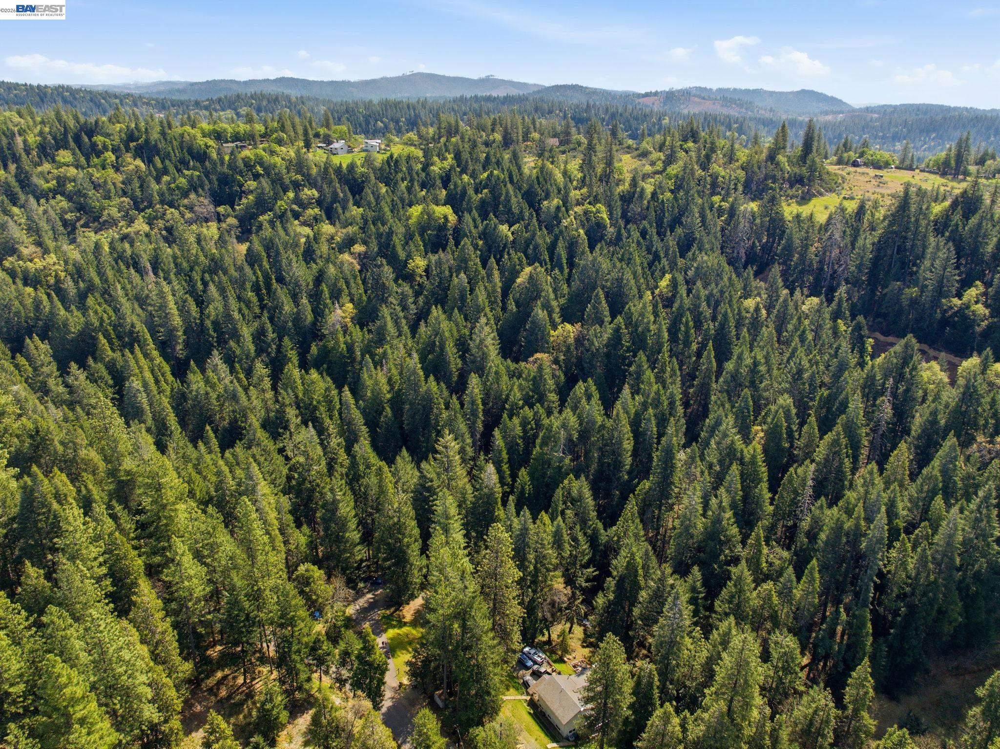 Detail Gallery Image 12 of 22 For 5890 Starkes Grade Rd, Pollock Pines,  CA 95726 - – Beds | – Baths