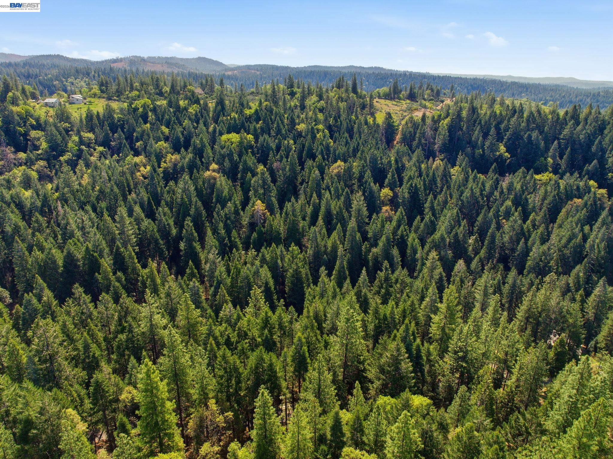 Detail Gallery Image 14 of 22 For 5890 Starkes Grade Rd, Pollock Pines,  CA 95726 - – Beds | – Baths