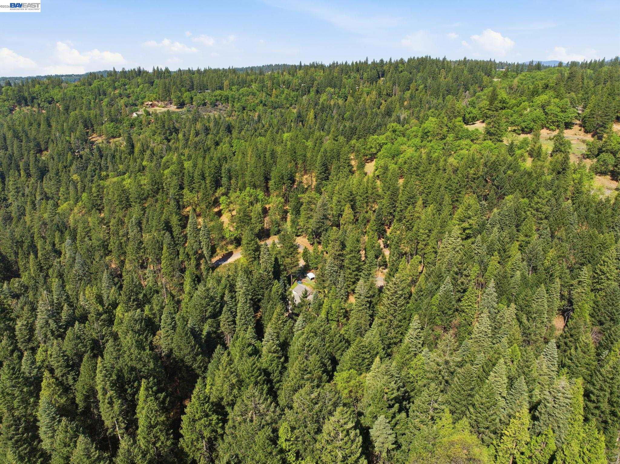 Detail Gallery Image 15 of 22 For 5890 Starkes Grade Rd, Pollock Pines,  CA 95726 - – Beds | – Baths