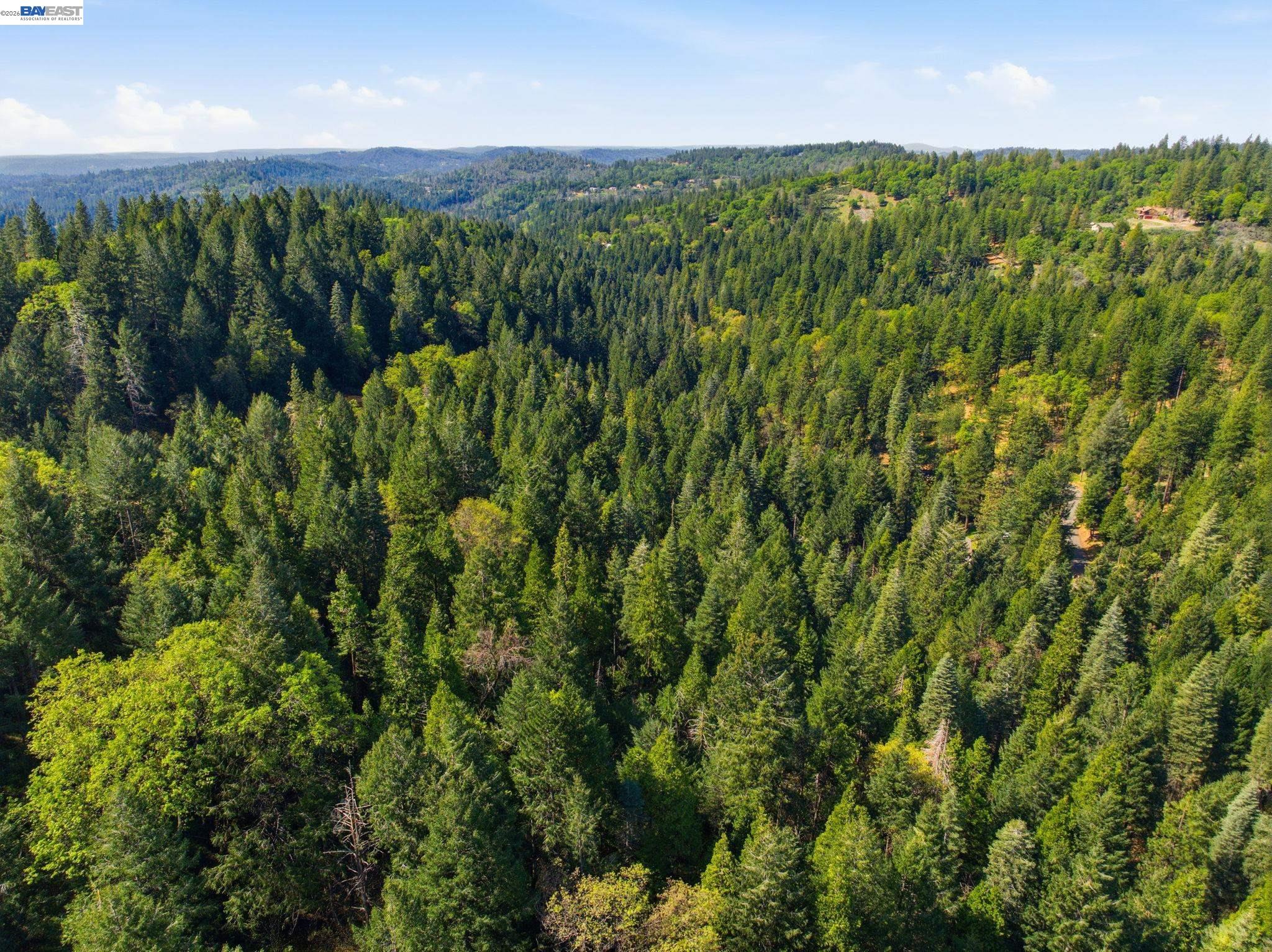 Detail Gallery Image 17 of 22 For 5890 Starkes Grade Rd, Pollock Pines,  CA 95726 - – Beds | – Baths