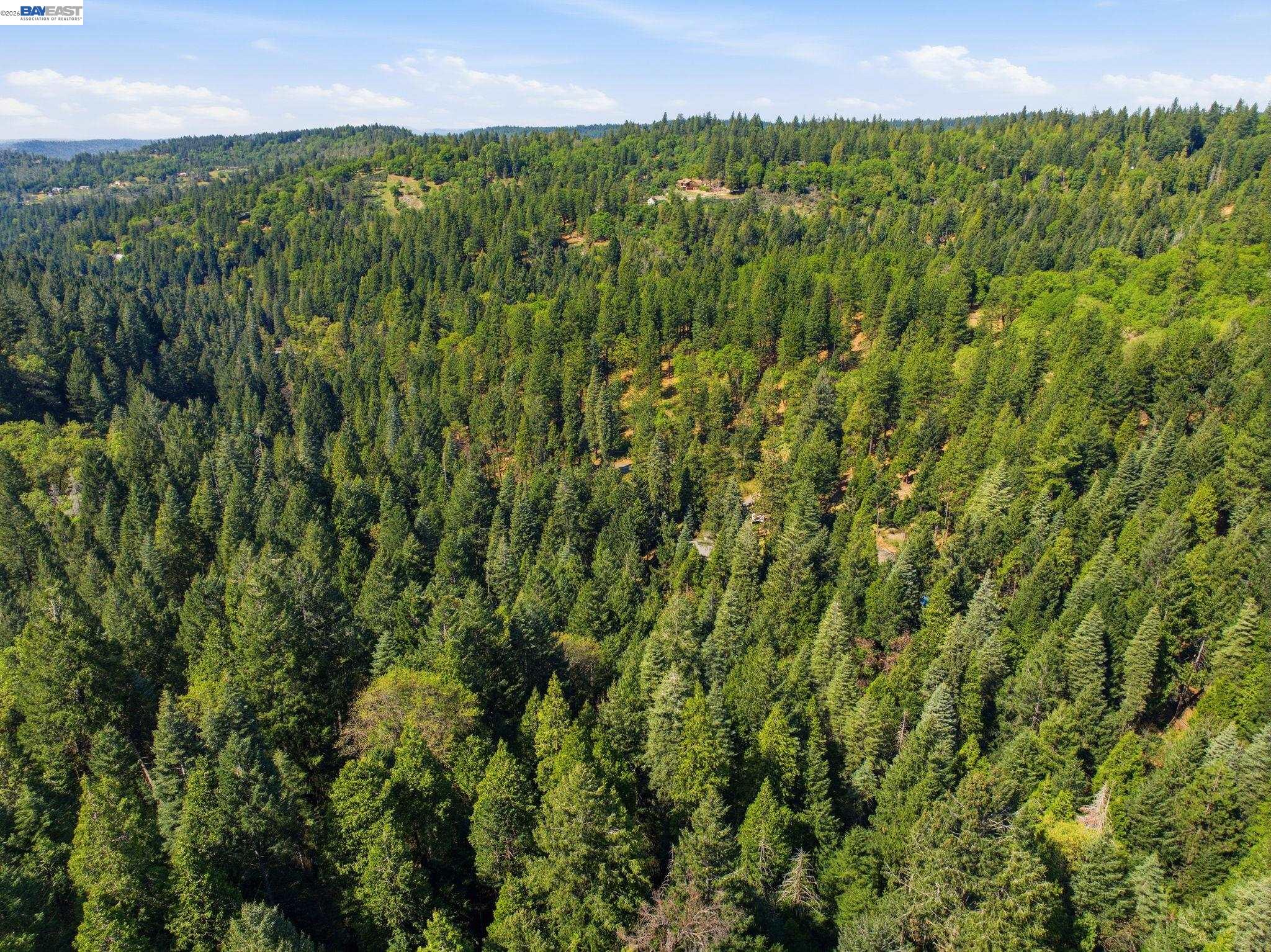 Detail Gallery Image 22 of 22 For 5890 Starkes Grade Rd, Pollock Pines,  CA 95726 - – Beds | – Baths